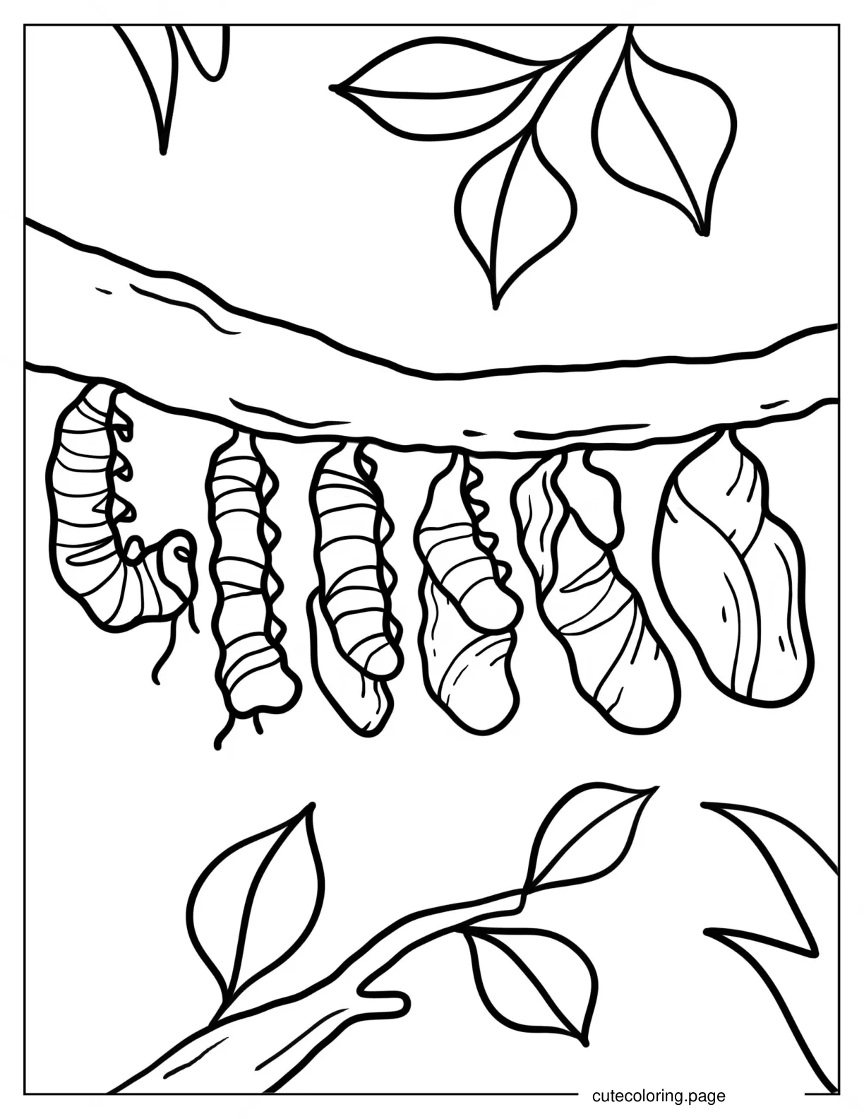 Educational Caterpillar Coloring Page coloring page