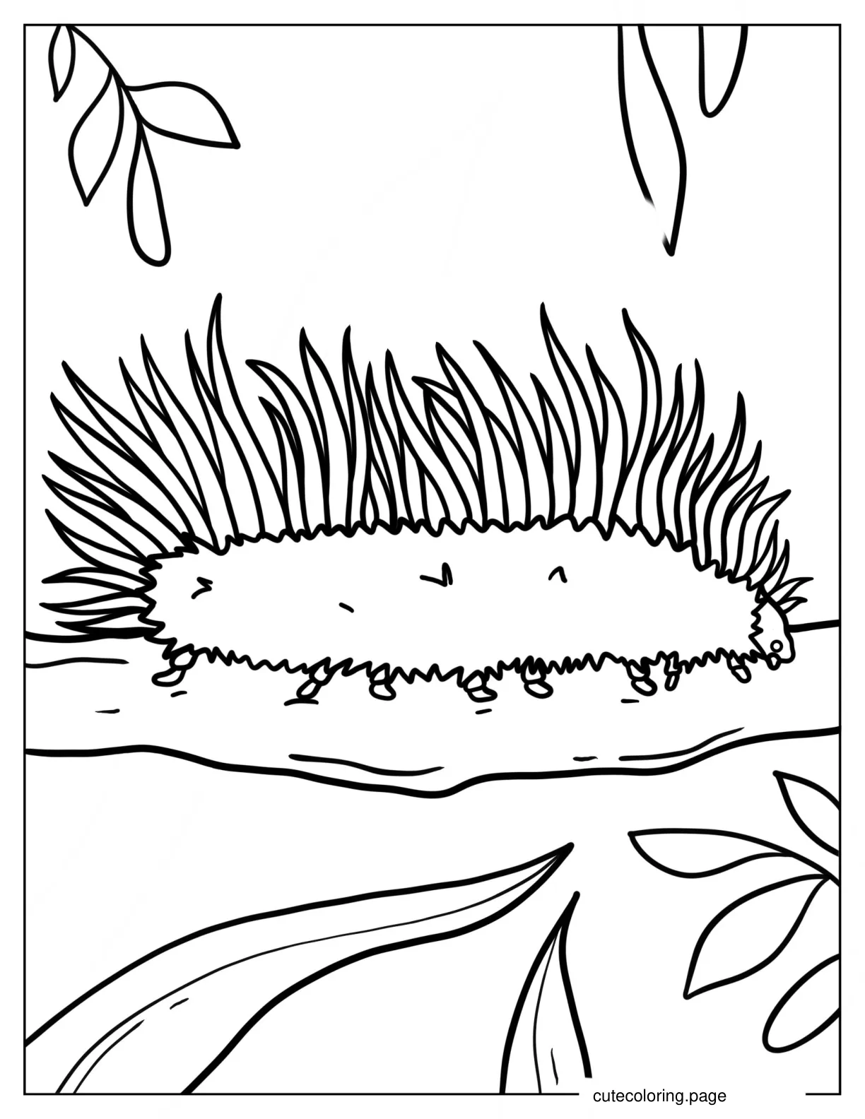 Hairy Looking Caterpillar coloring page