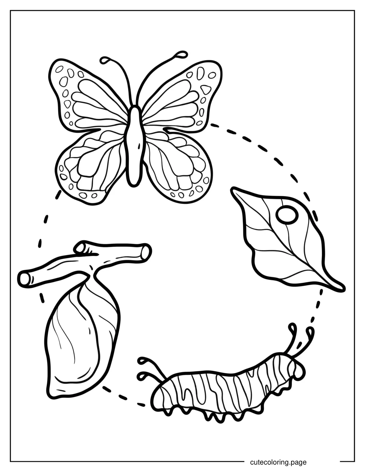 Lifecycle Of a Caterpillar To Color coloring page