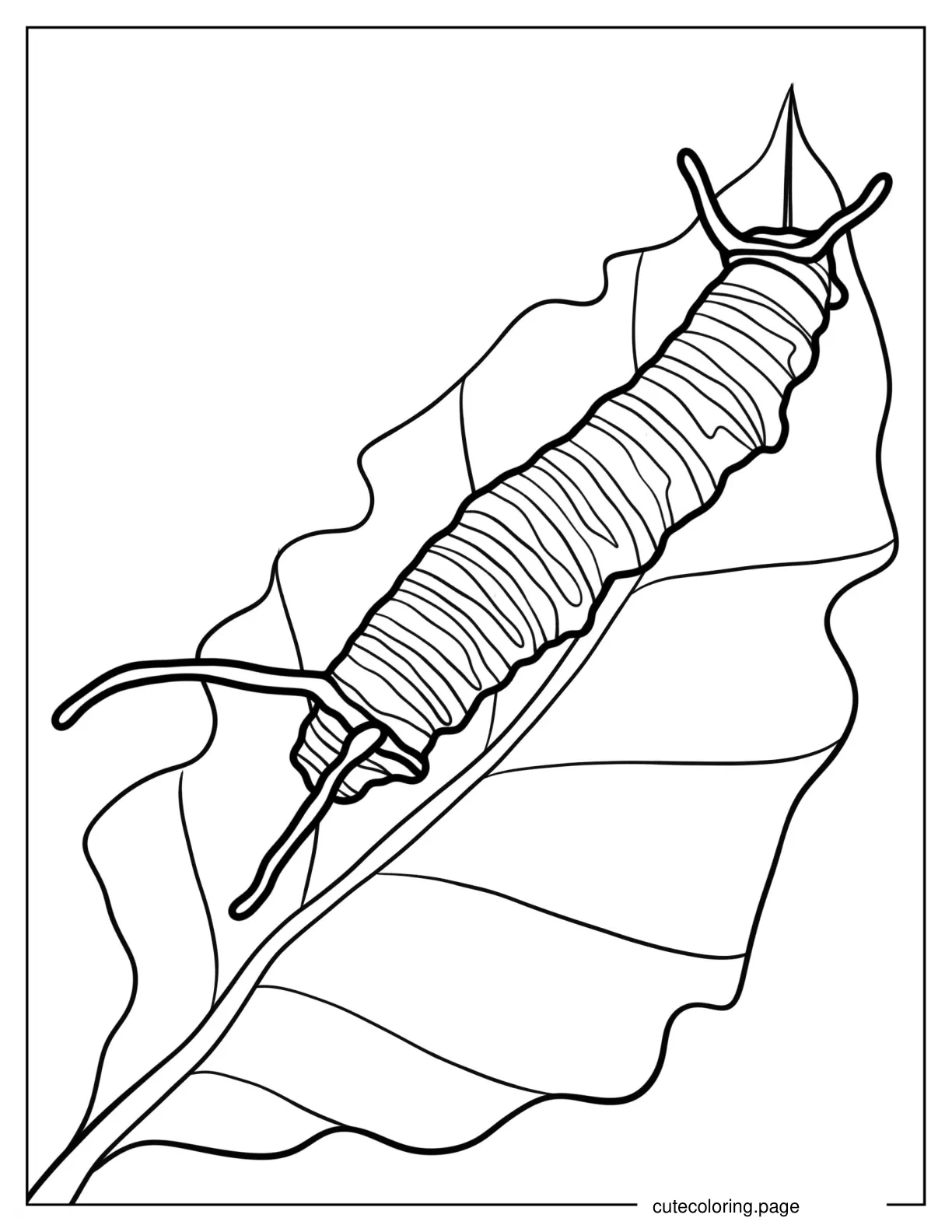 Monarch Caterpillar On Leaf To Color coloring page