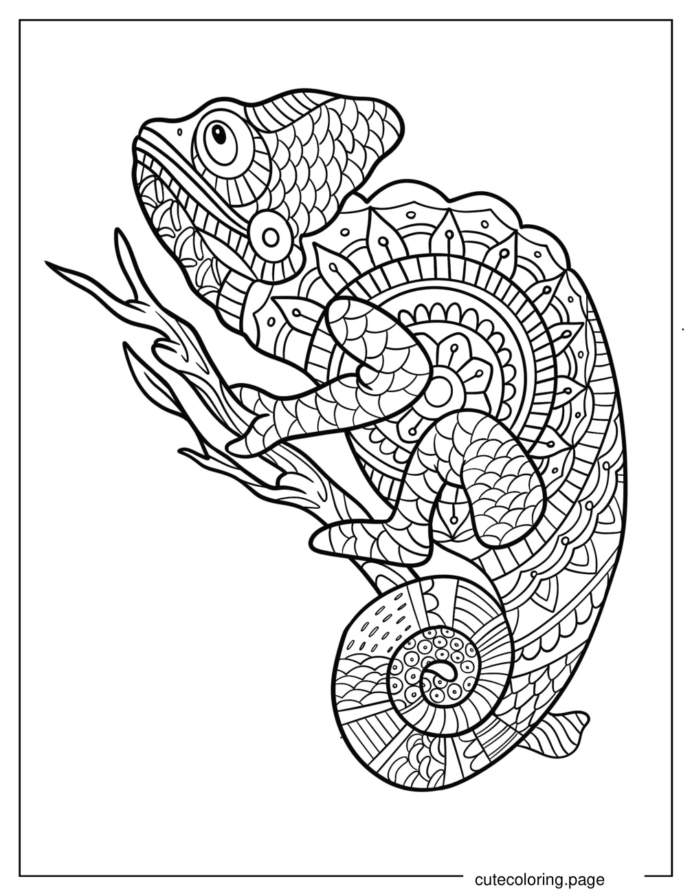 Chameleon Mandala On Tree Branch coloring page