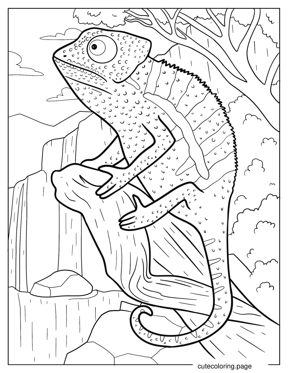 Chameleon On Large Rock In The Forest coloring page