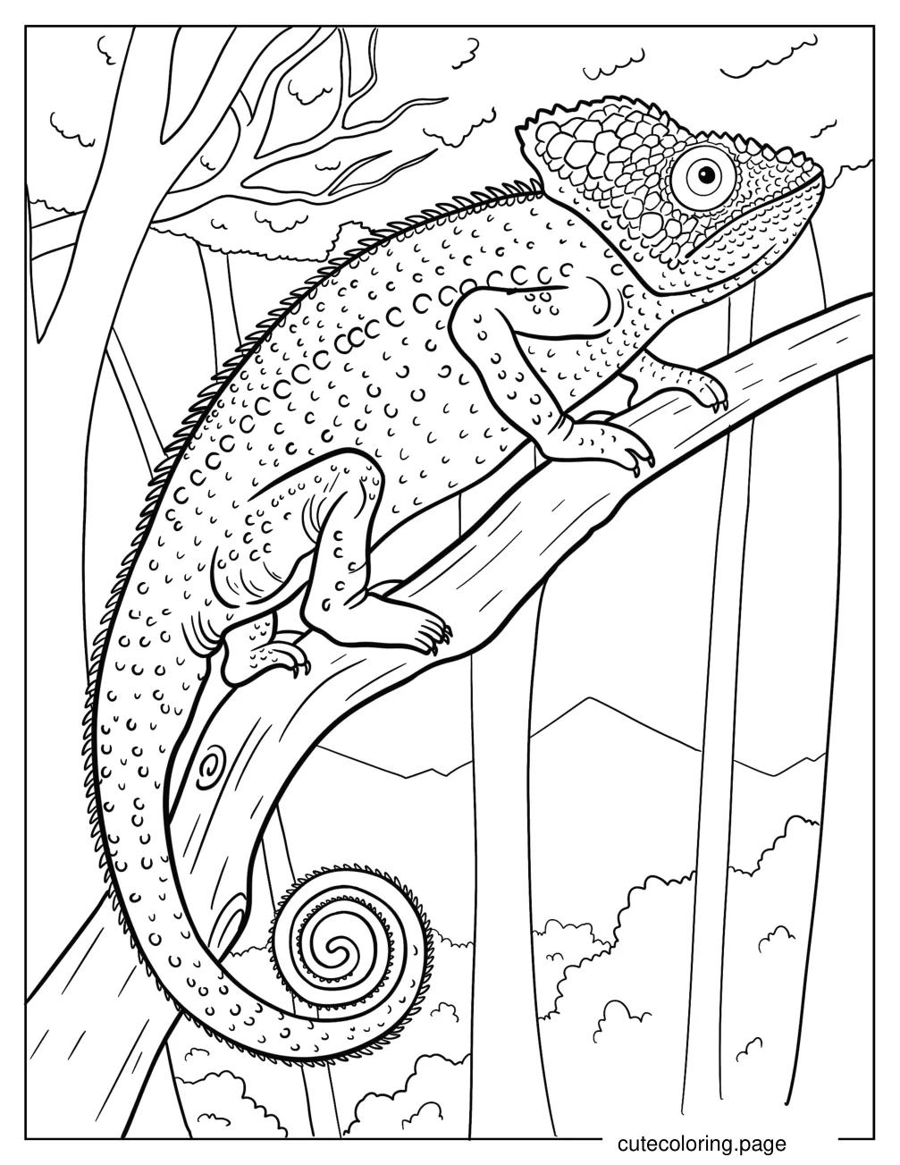 Realistic Chameleon On Tree Branch Coloring Sheet coloring page