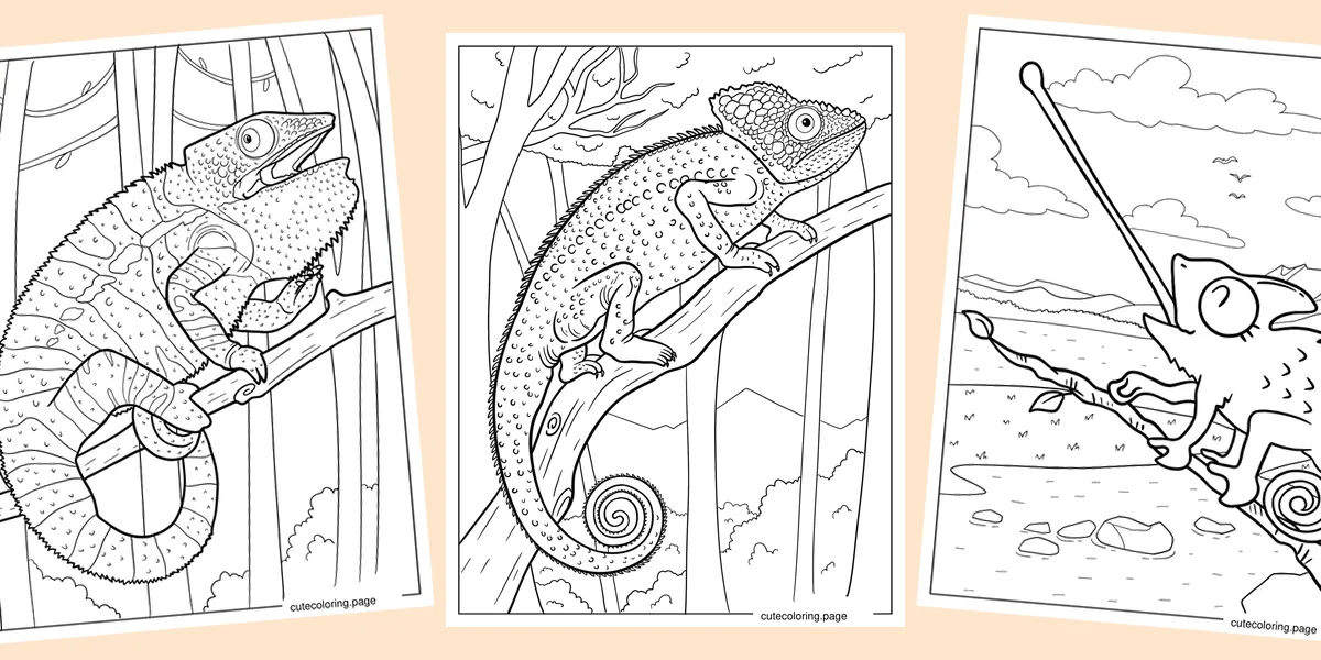 chameleon-coloring-pages