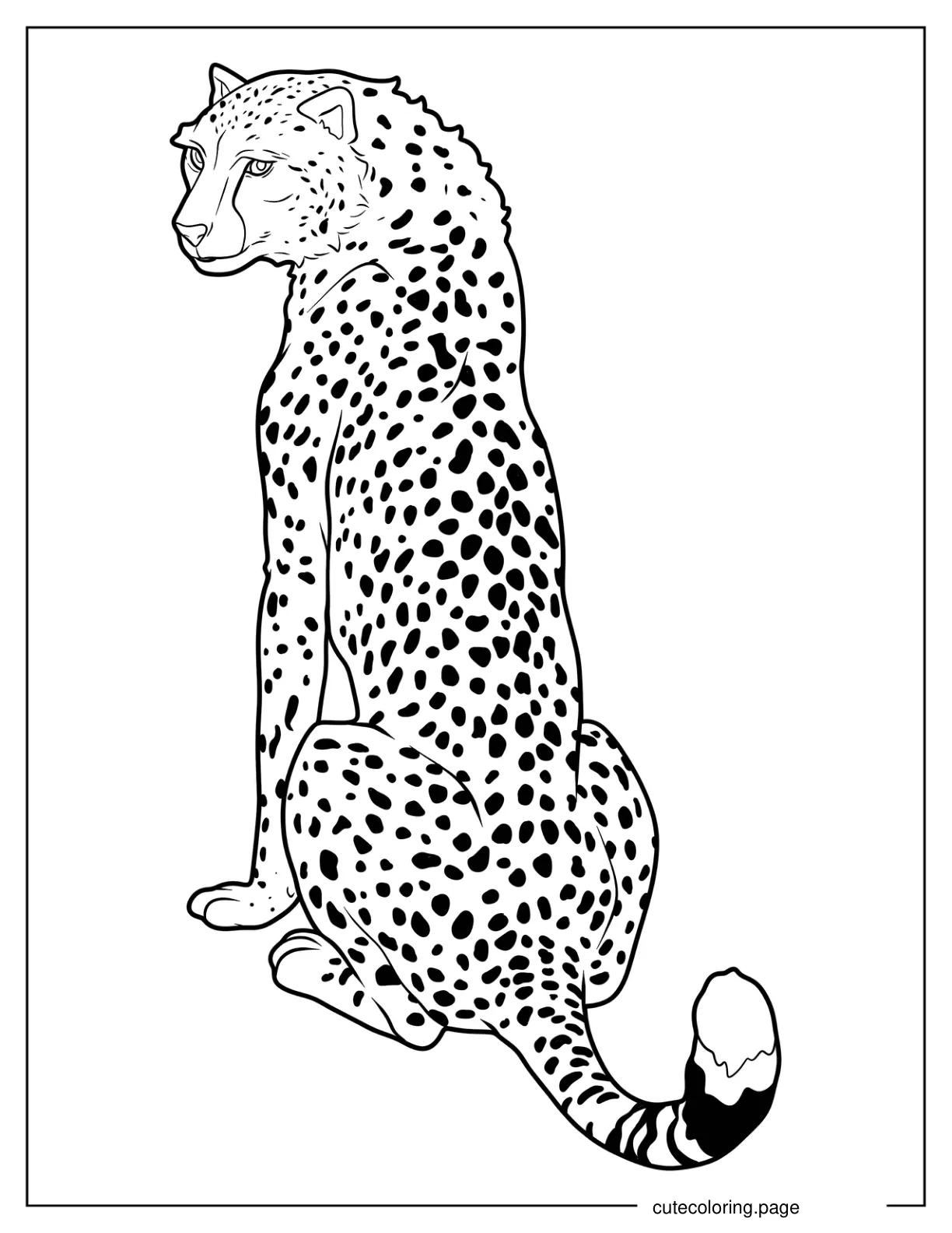 Back View Of Realistic Adult Cheetah coloring page