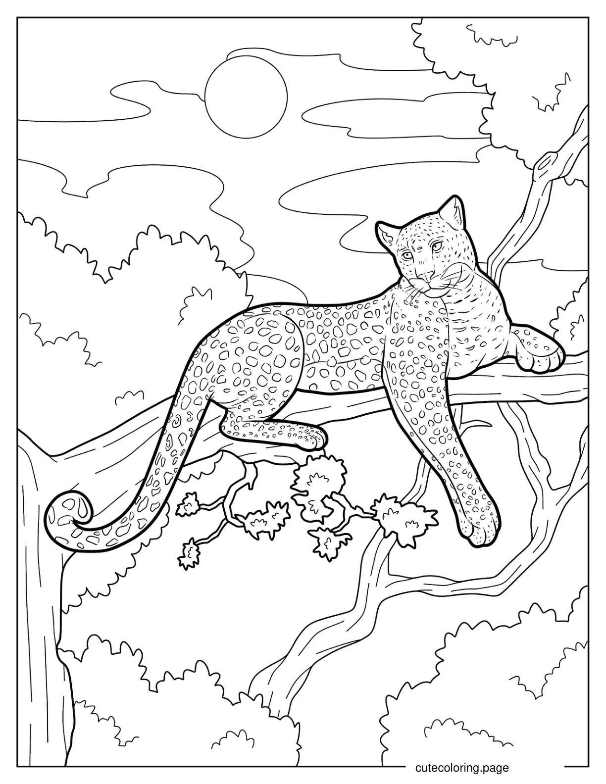 Big Cheetah Resting On A Tree Branch coloring page