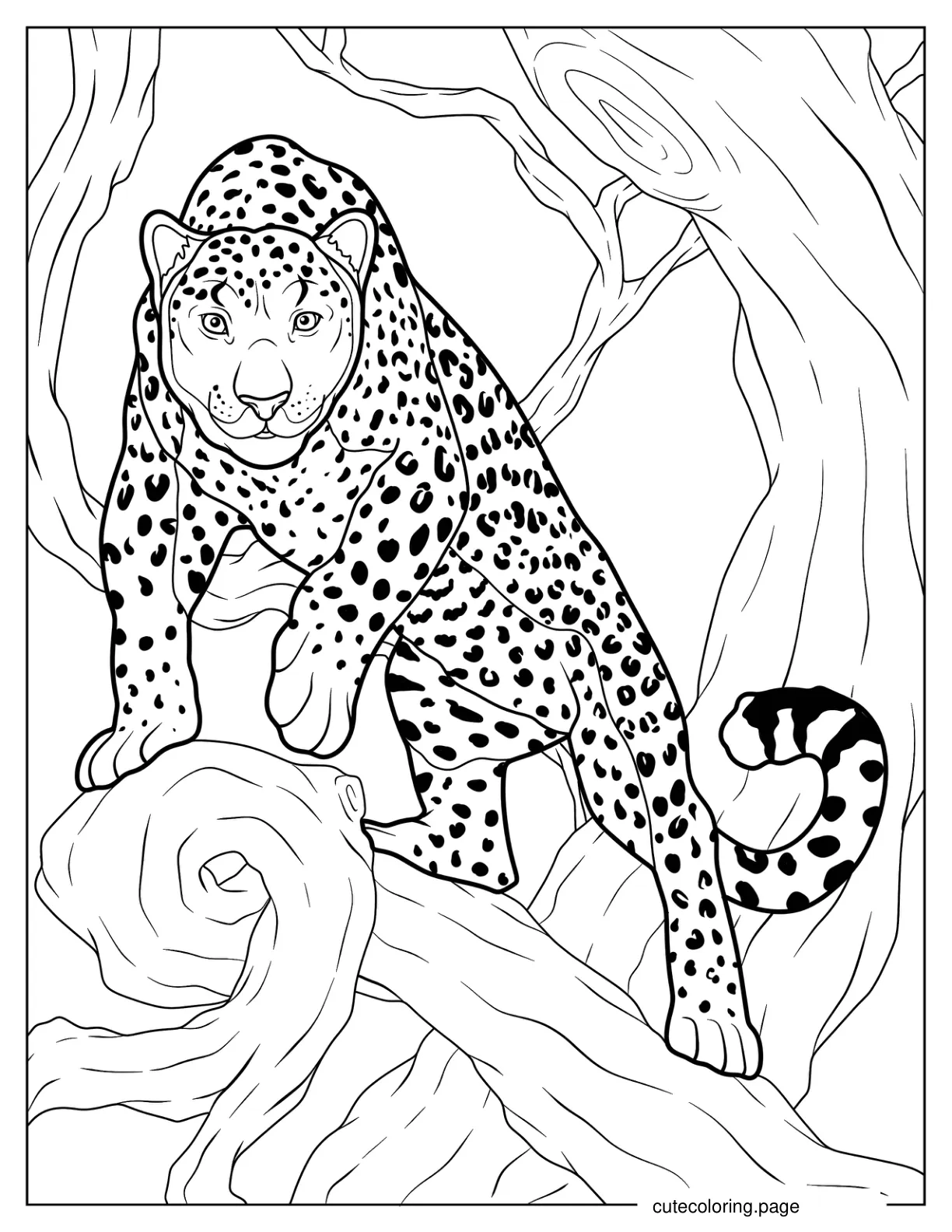 Detailed Cheetah Climbing Tree Coloring Page coloring page