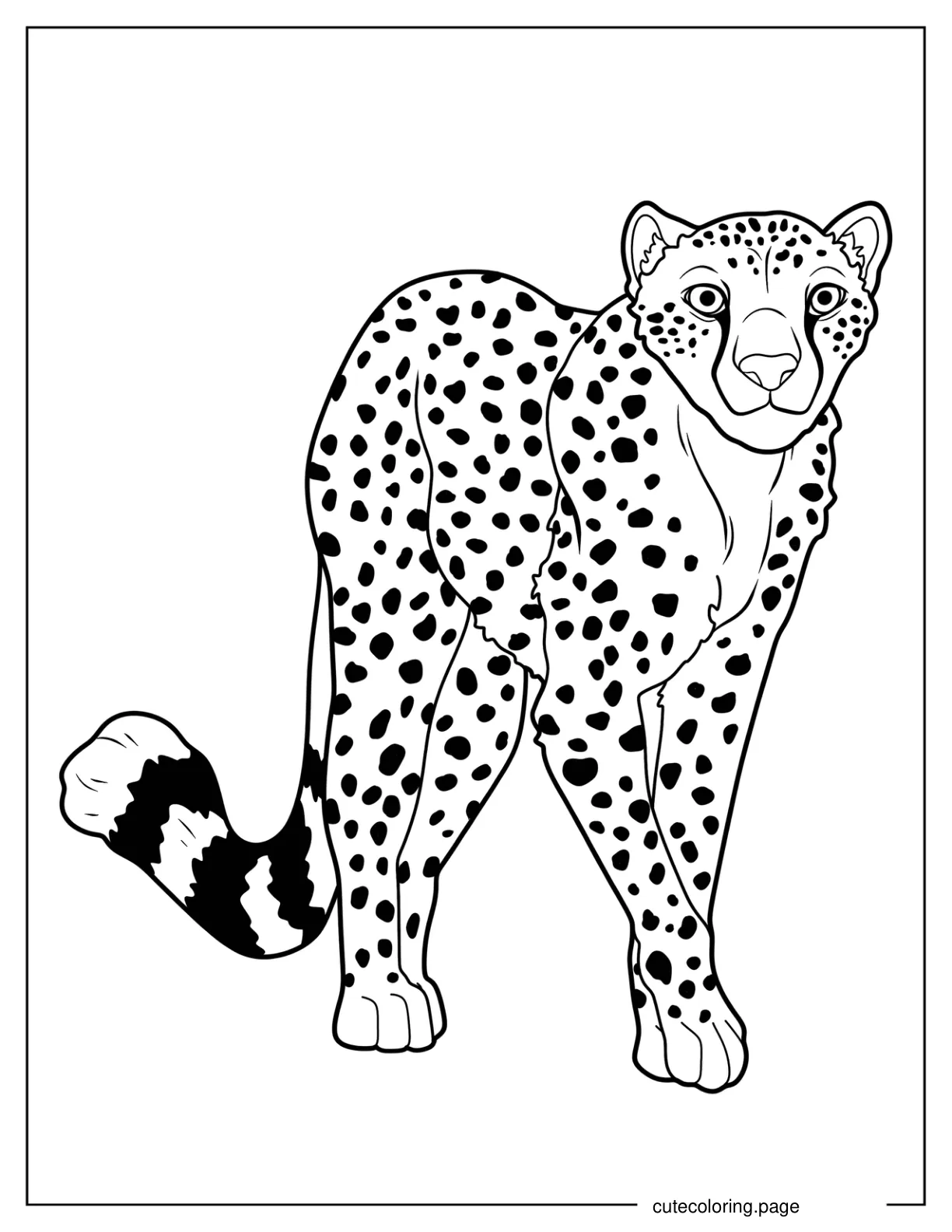 Easy Outline Of Friendly Cheetah coloring page