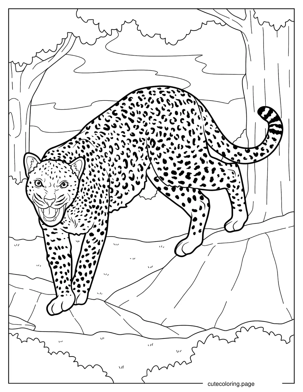 Large Cheetah Hissing Coloring Page coloring page