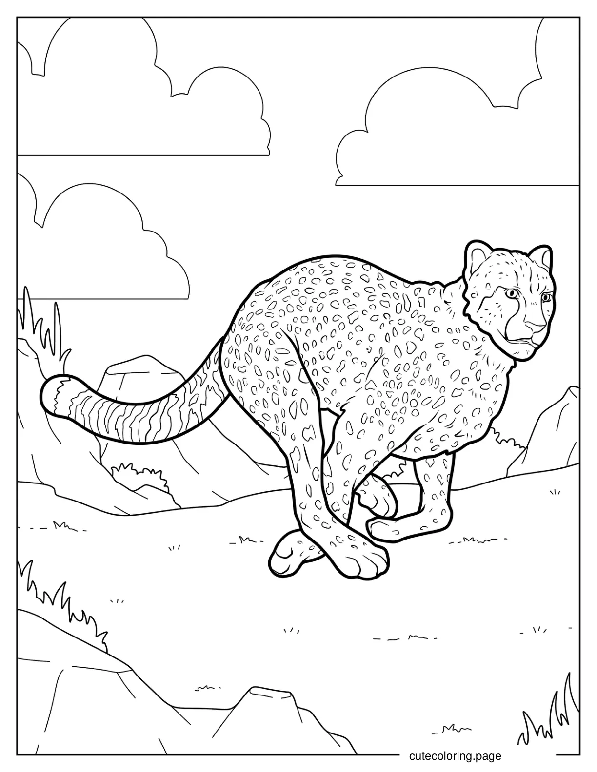 Realistic Cheetah In Mid Run coloring page