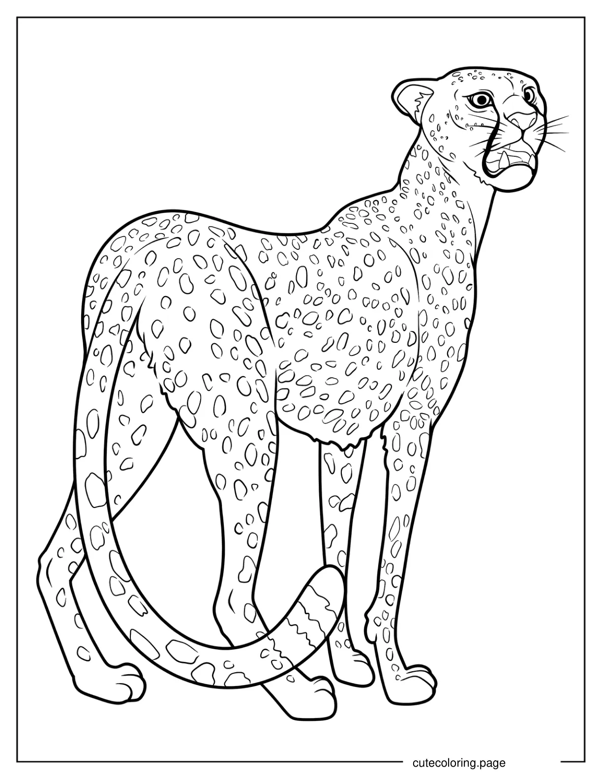 Simple Cheetah Looking Back Coloring Page For Kids coloring page