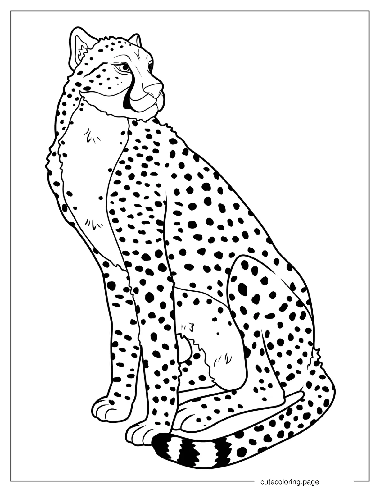 Simple Cheetah Looking Sideways Coloring Page coloring page