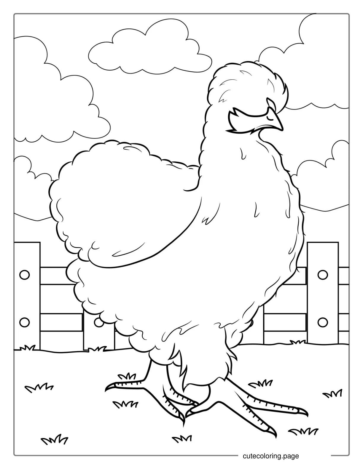 Chinese Silk Chicken Coloring Page coloring page