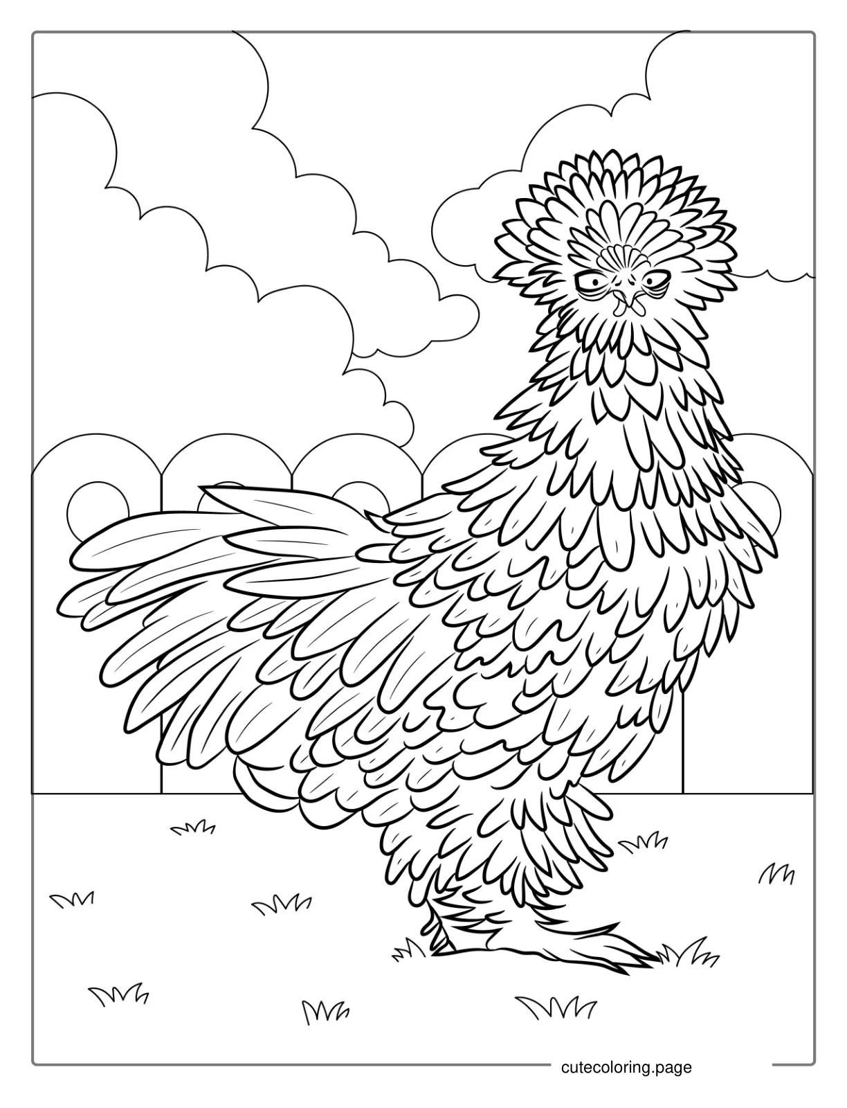 Coloring Page Of a Silkie Chicken coloring page