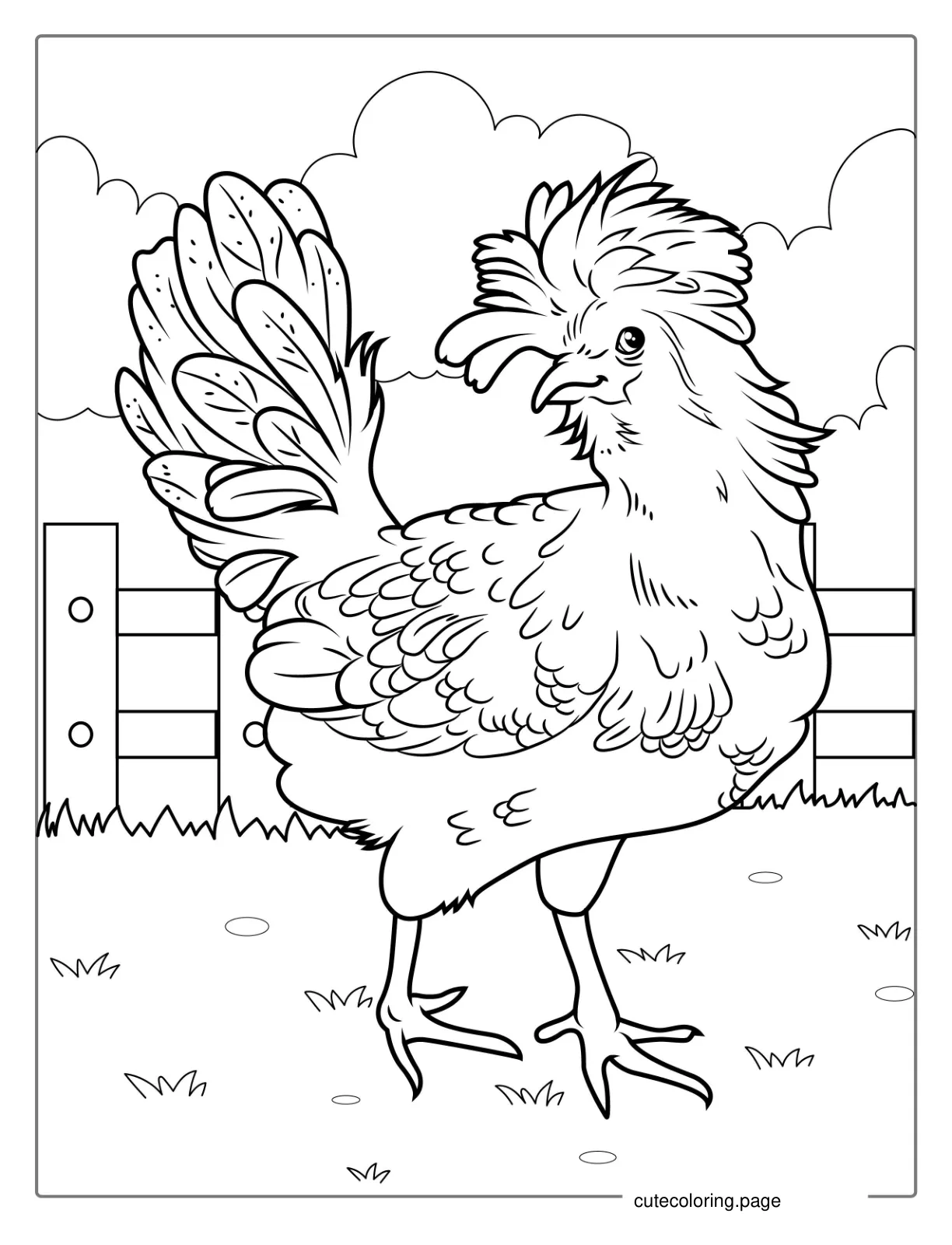 Detailed Chicken Coloring Page coloring page