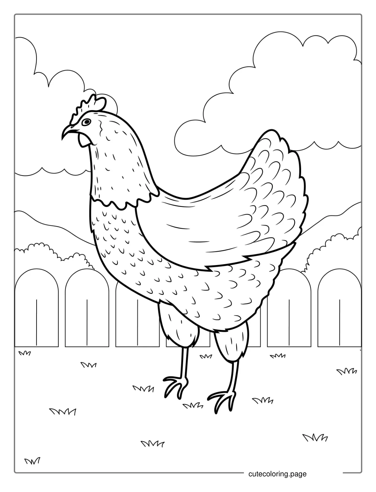 Easy Outline Of a Common Farm Chicken coloring page