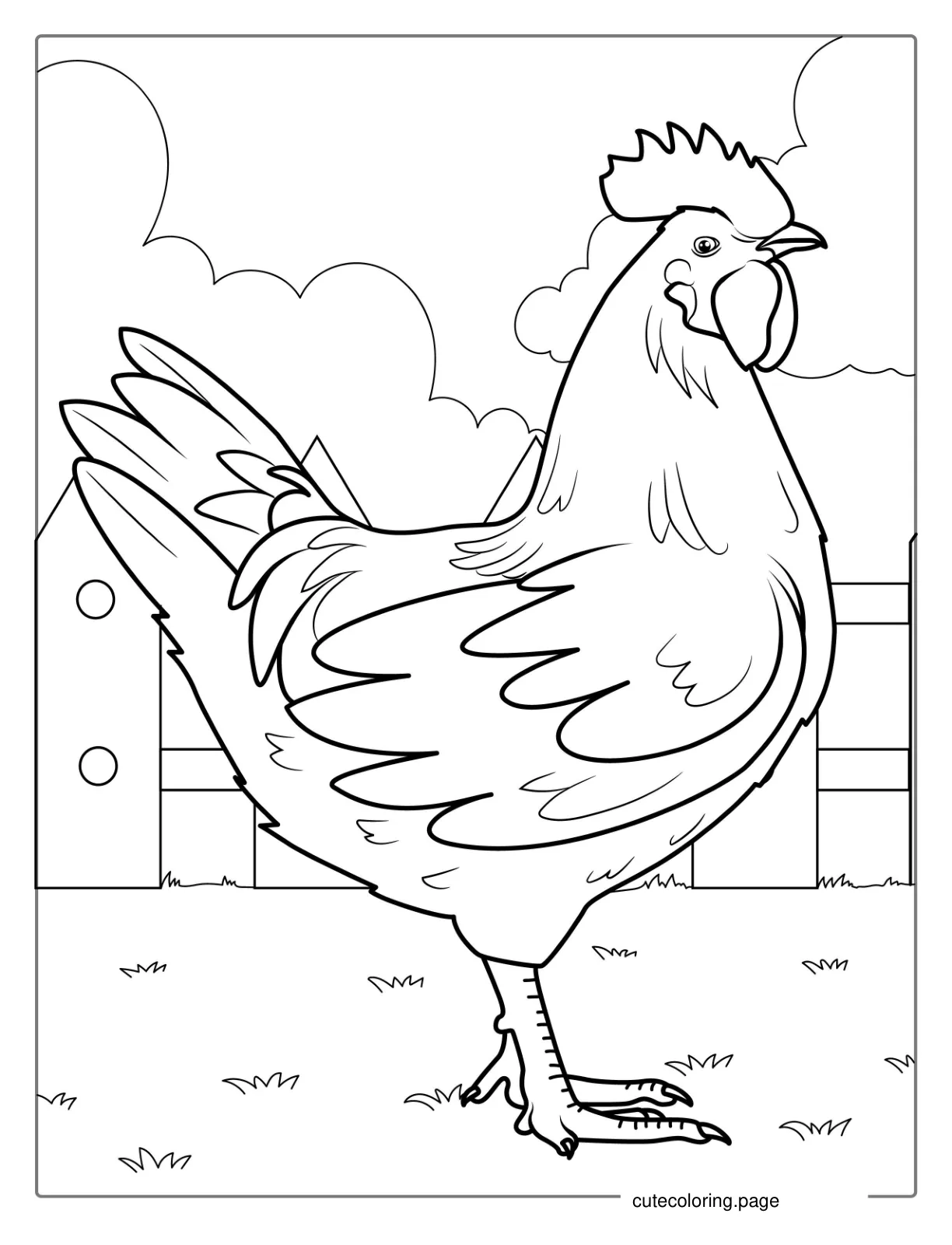 Farm Rooster Coloring Picture coloring page