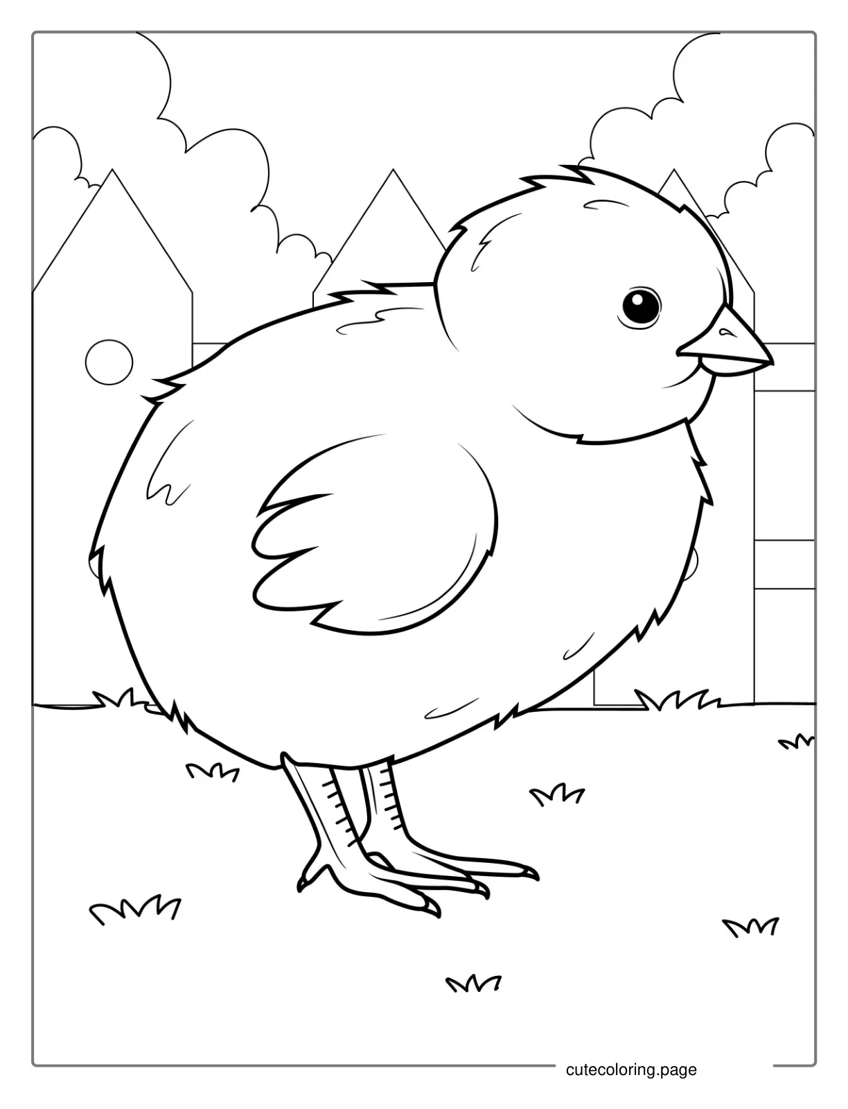 Realistic Baby Chicken Coloring Sheet coloring page