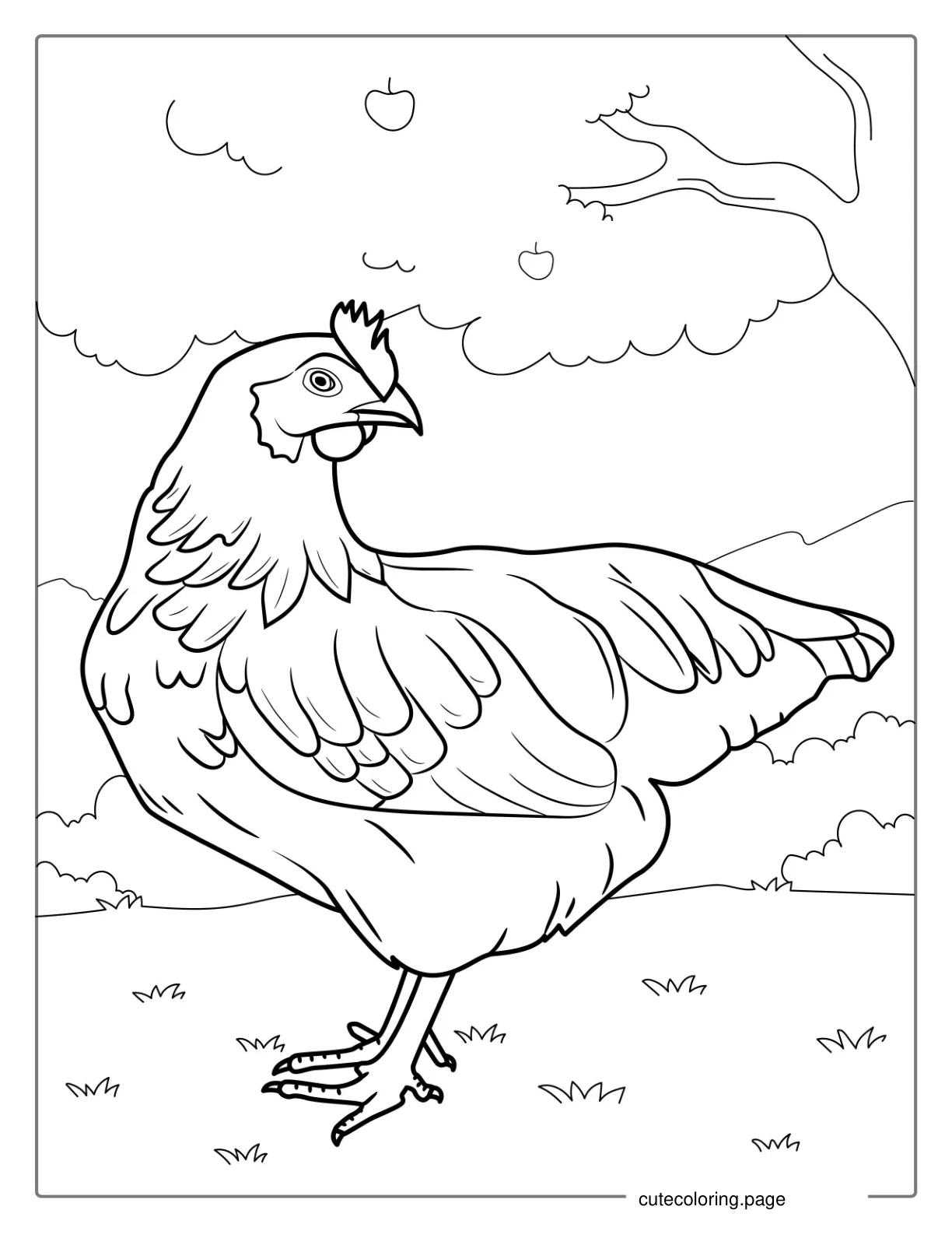 Rhode Island Red Chicken Coloring Page coloring page