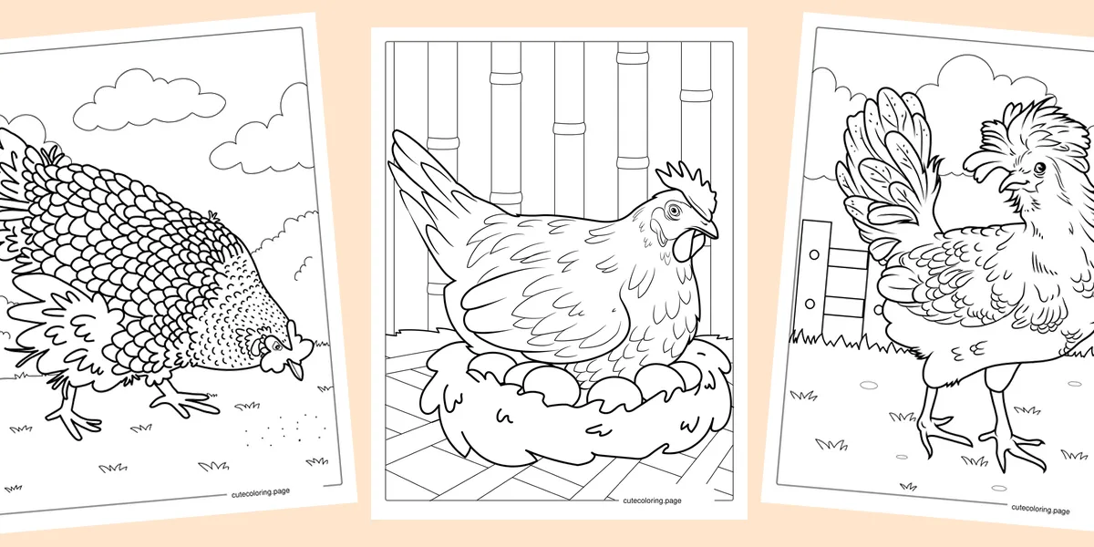 chicken-coloring-pages