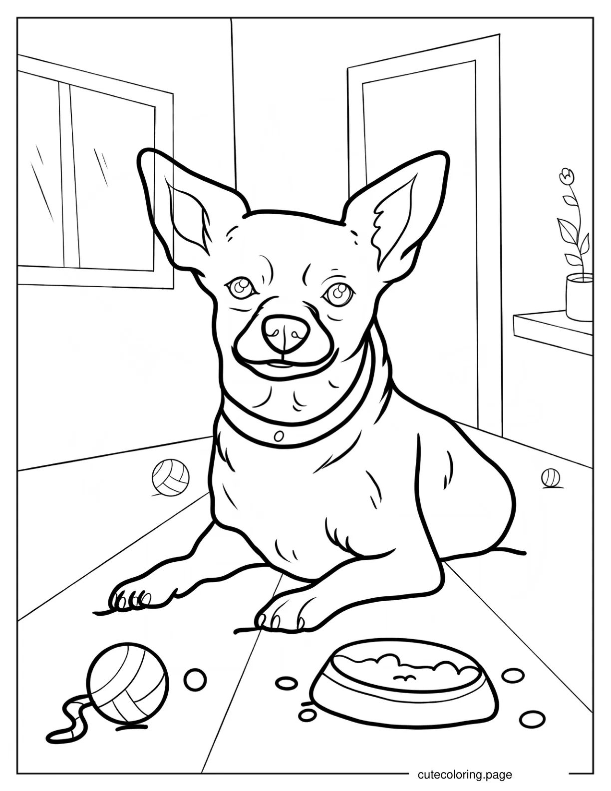 Chihuahua Resting Indoors coloring page