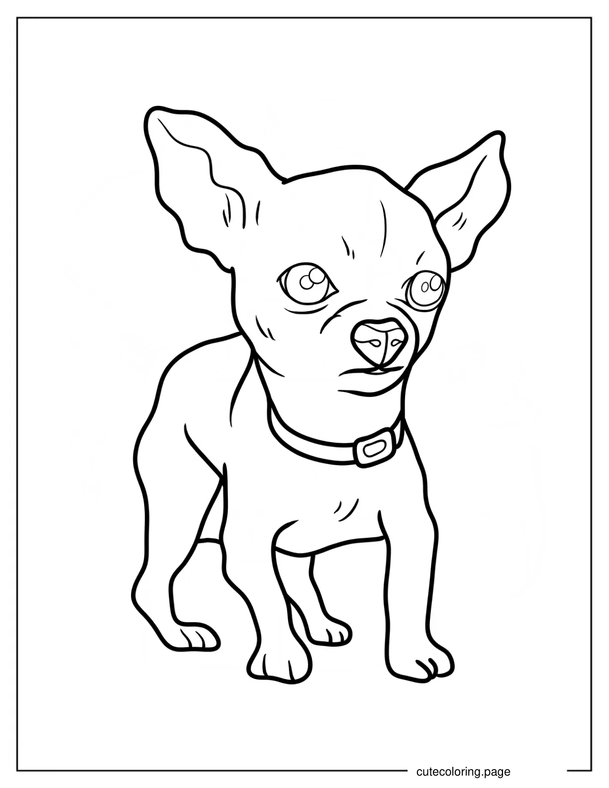 Easy Angry Chihuahua Coloring Page For Kids coloring page