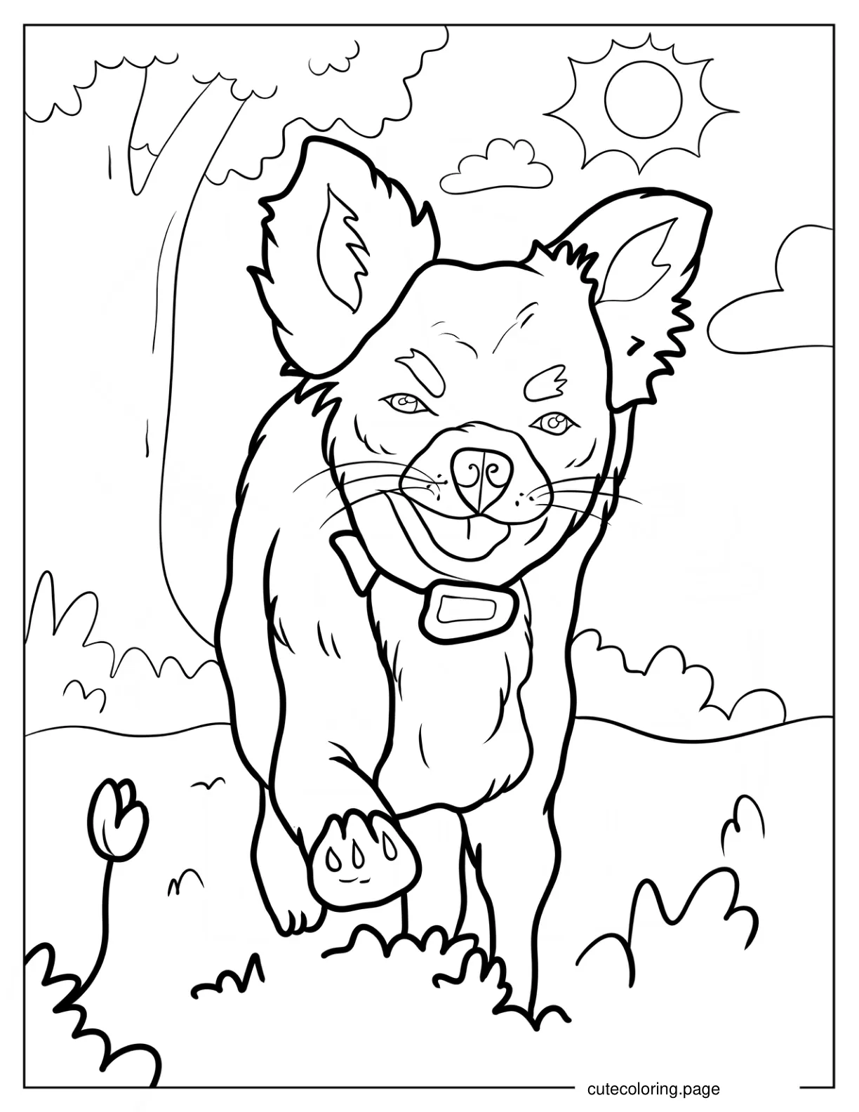 Happy Long Hair Chihuahua Walking On Grass coloring page