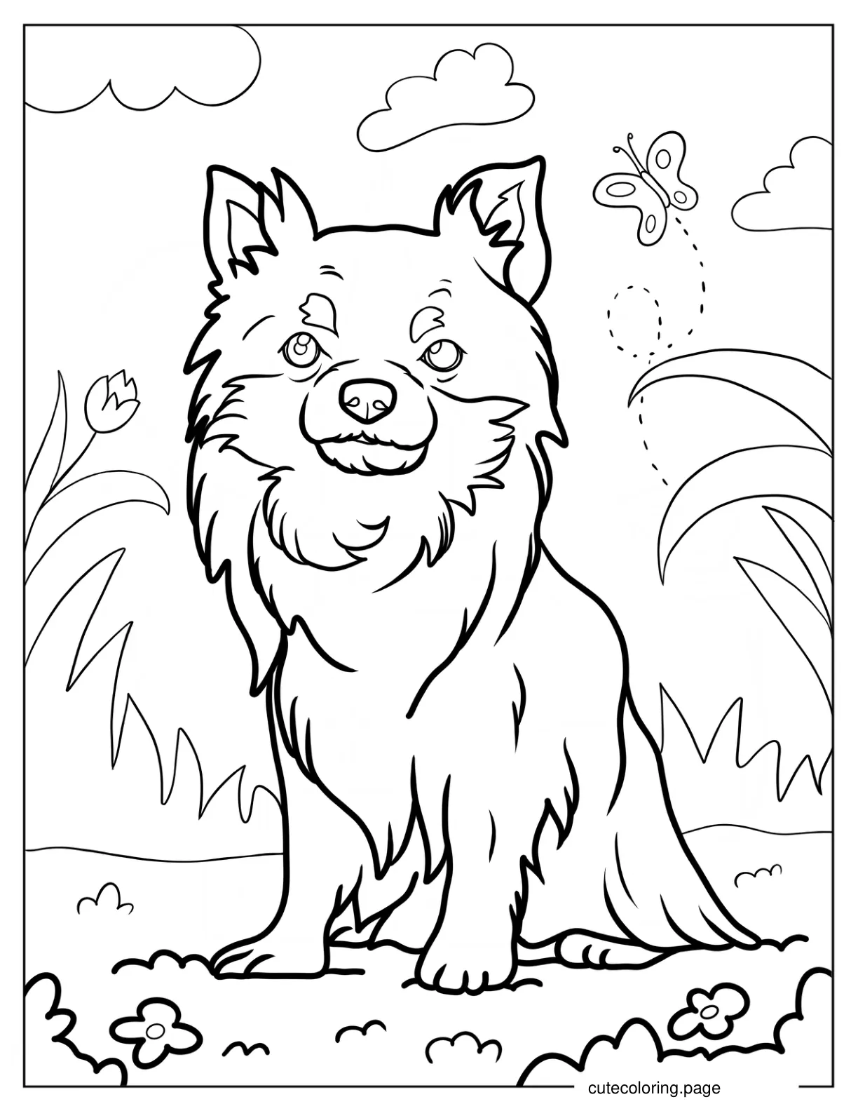 Long Hair Chihuahua Smiling Coloring Page For Kids coloring page