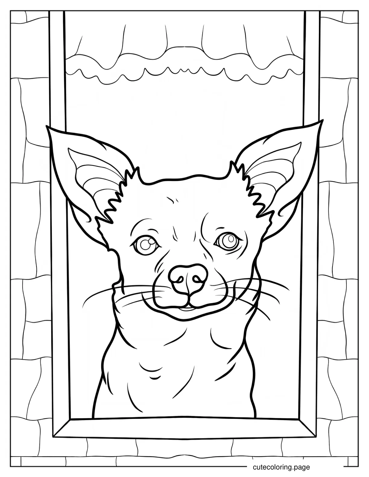 Realistic Chihuahua Coloring Page coloring page