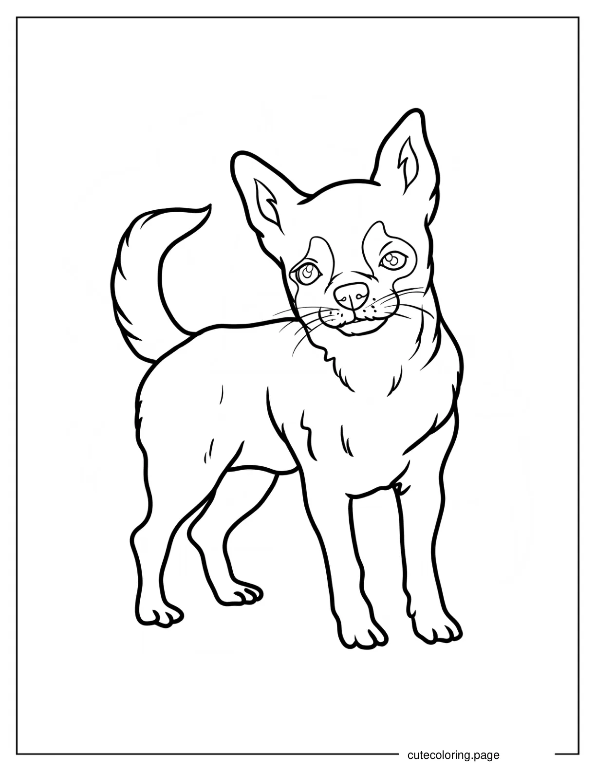 Simple Apple Head Chihuahua Coloring Sheet coloring page