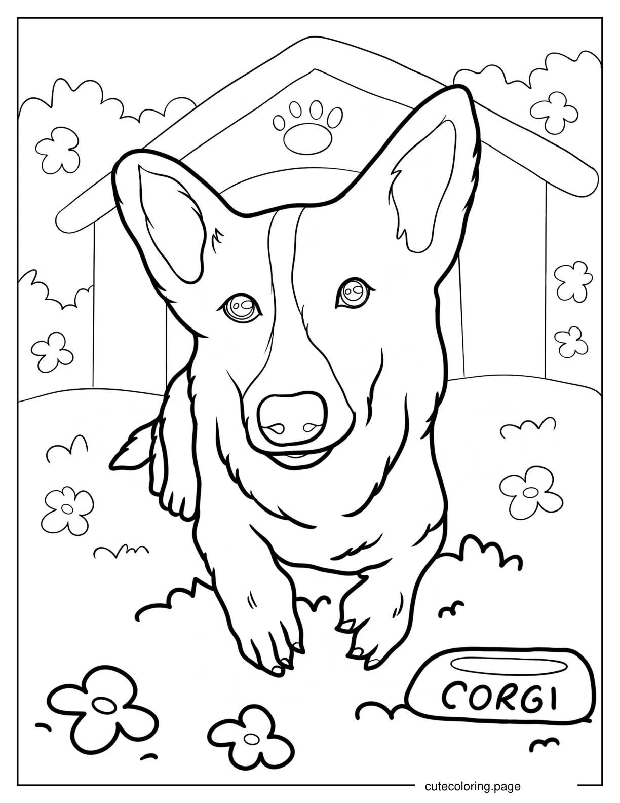 Close Up Of Realistic Corgi coloring page