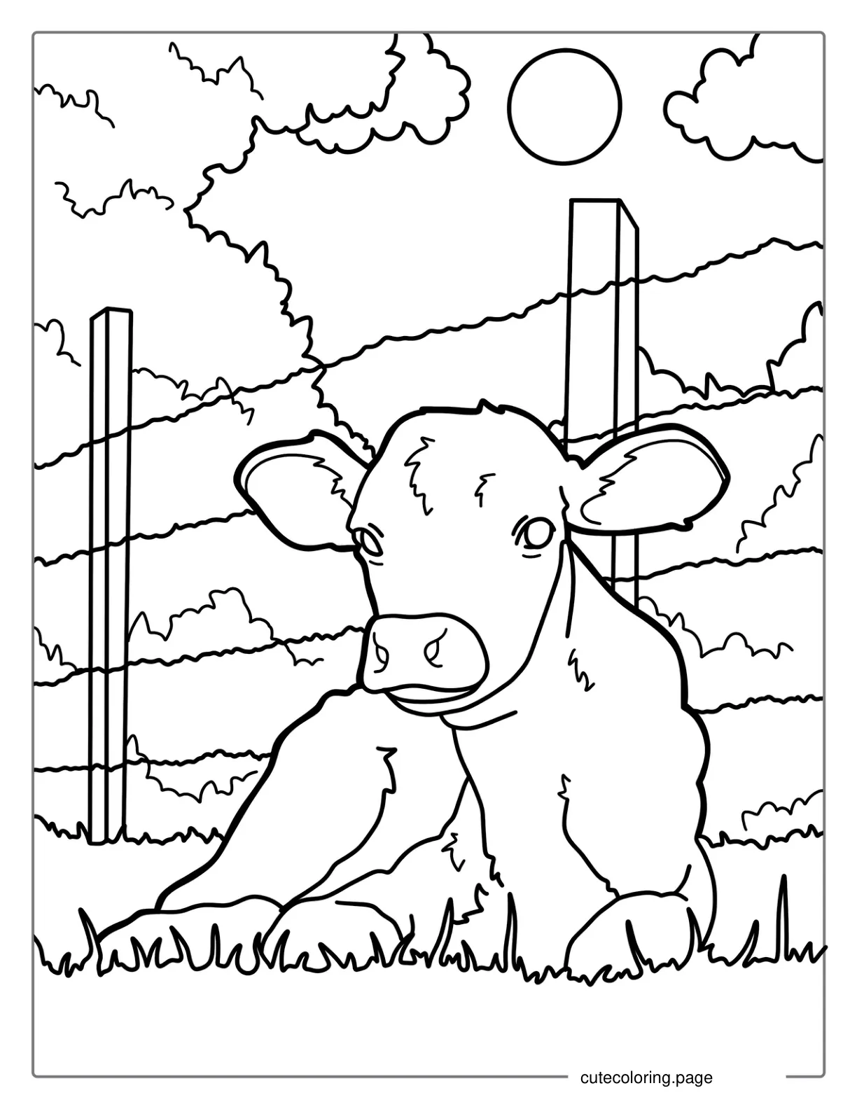 Baby Calf Resting In Field To Color coloring page