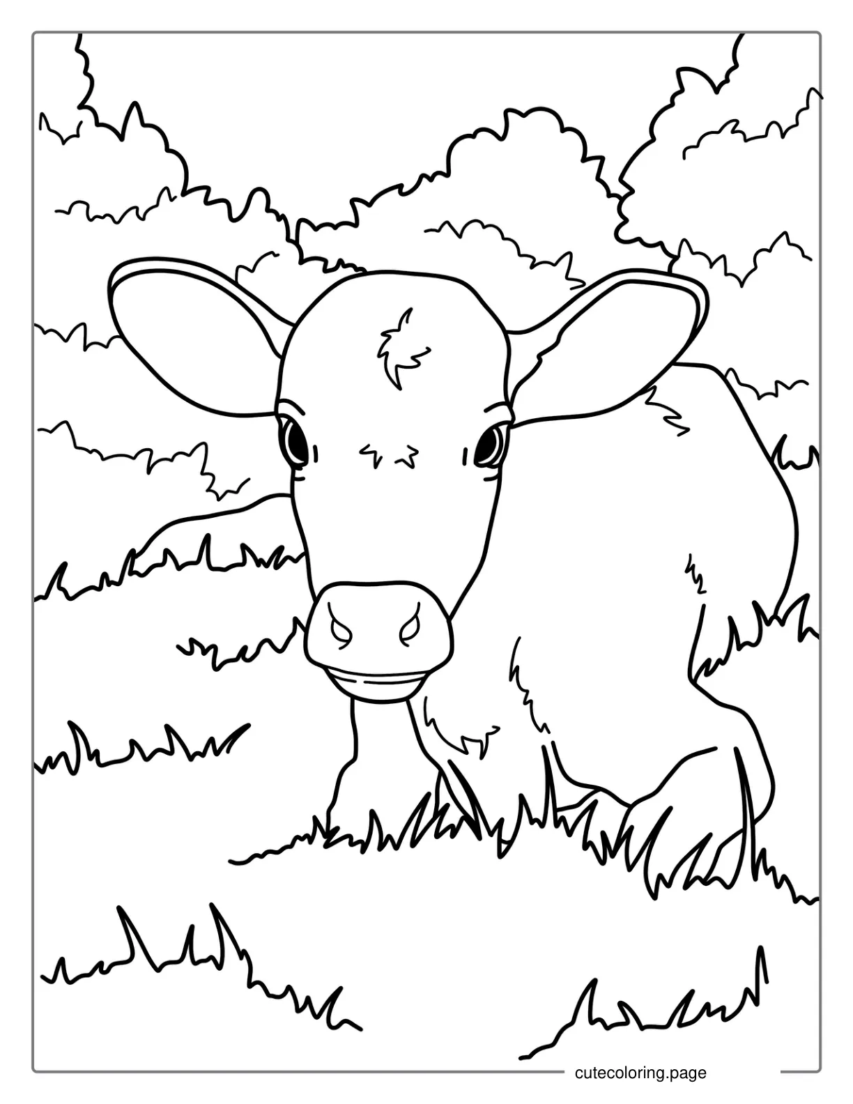 Baby Cow Resting In Grass Coloring Page coloring page