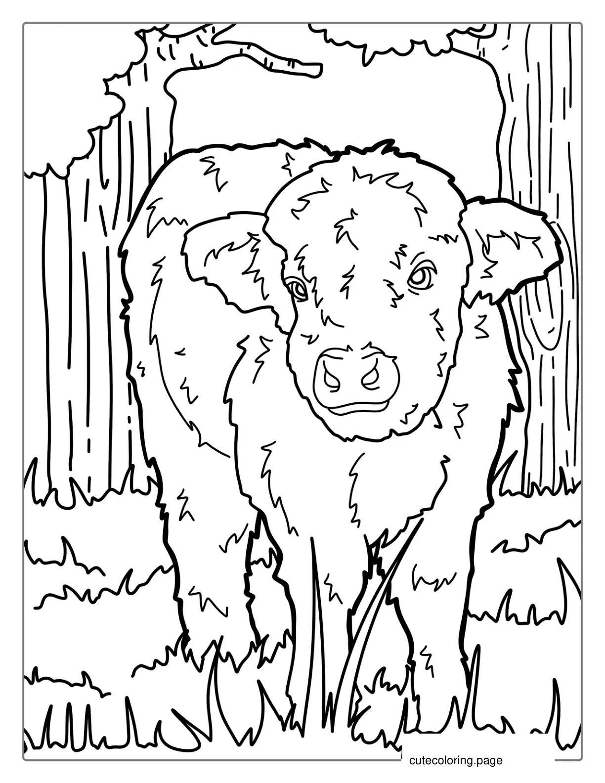 Baby Highland Cow Coloring Page For Kids coloring page