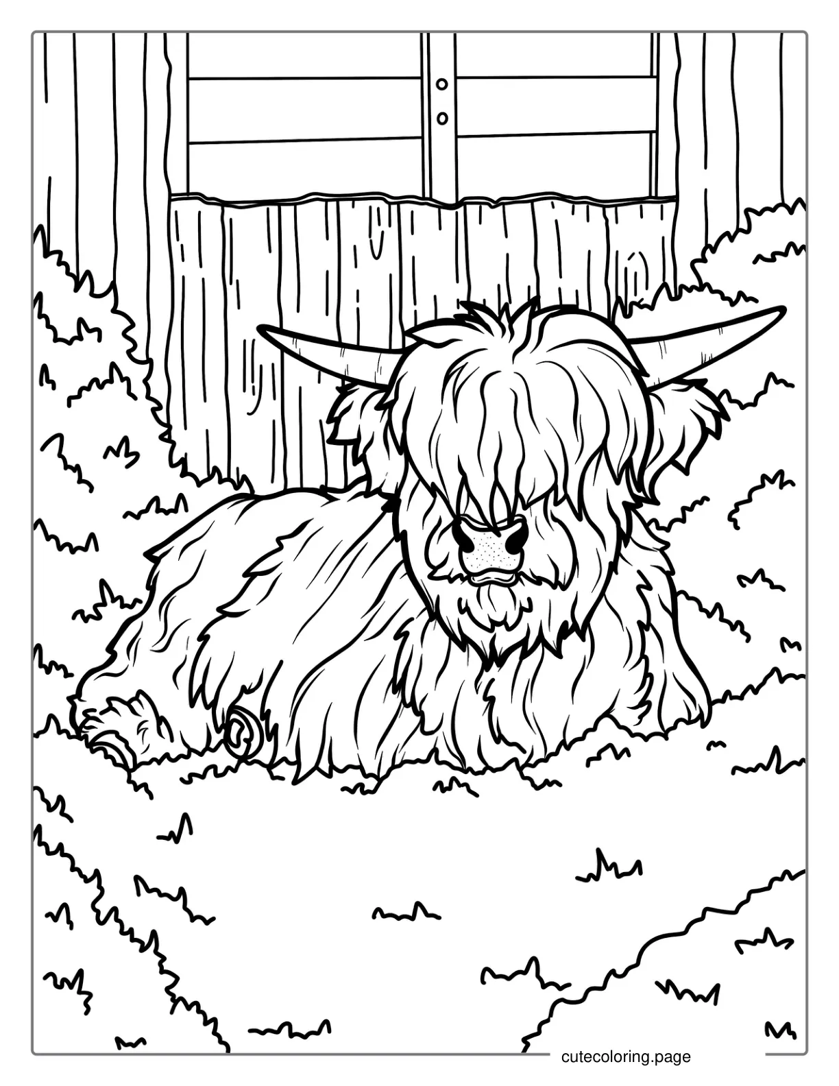 Baby Highland Cow Resting In Field Coloring In coloring page