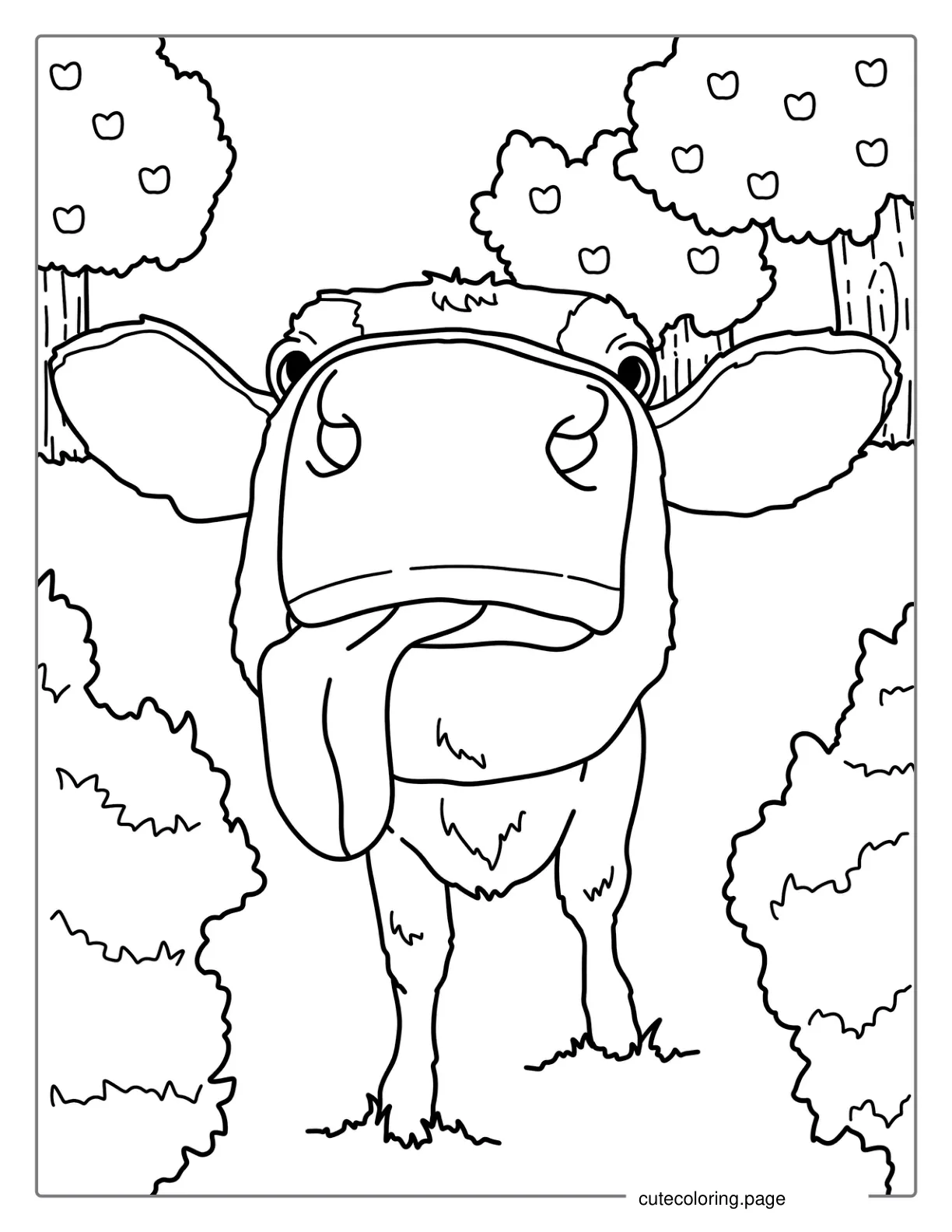 Big Cow Nose With Tongue Out Coloring Page coloring page