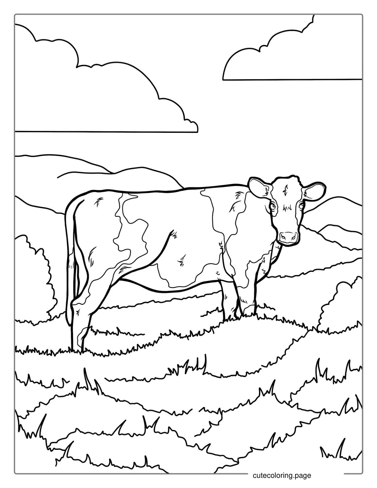 Brown Swiss Cow Standing In Field coloring page