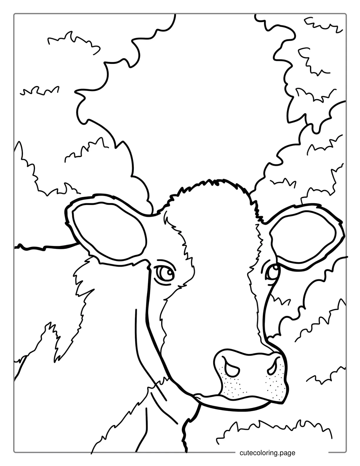 Close Up Of Jersey Cow Face Coloring In coloring page