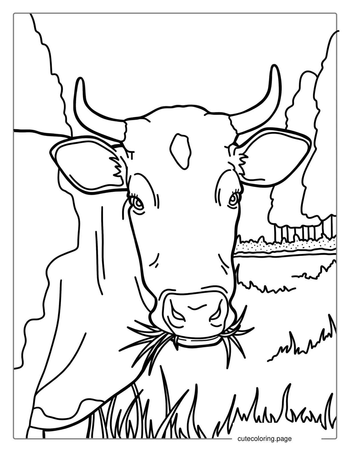 Cow With Horns Eating Hay Coloring Page coloring page