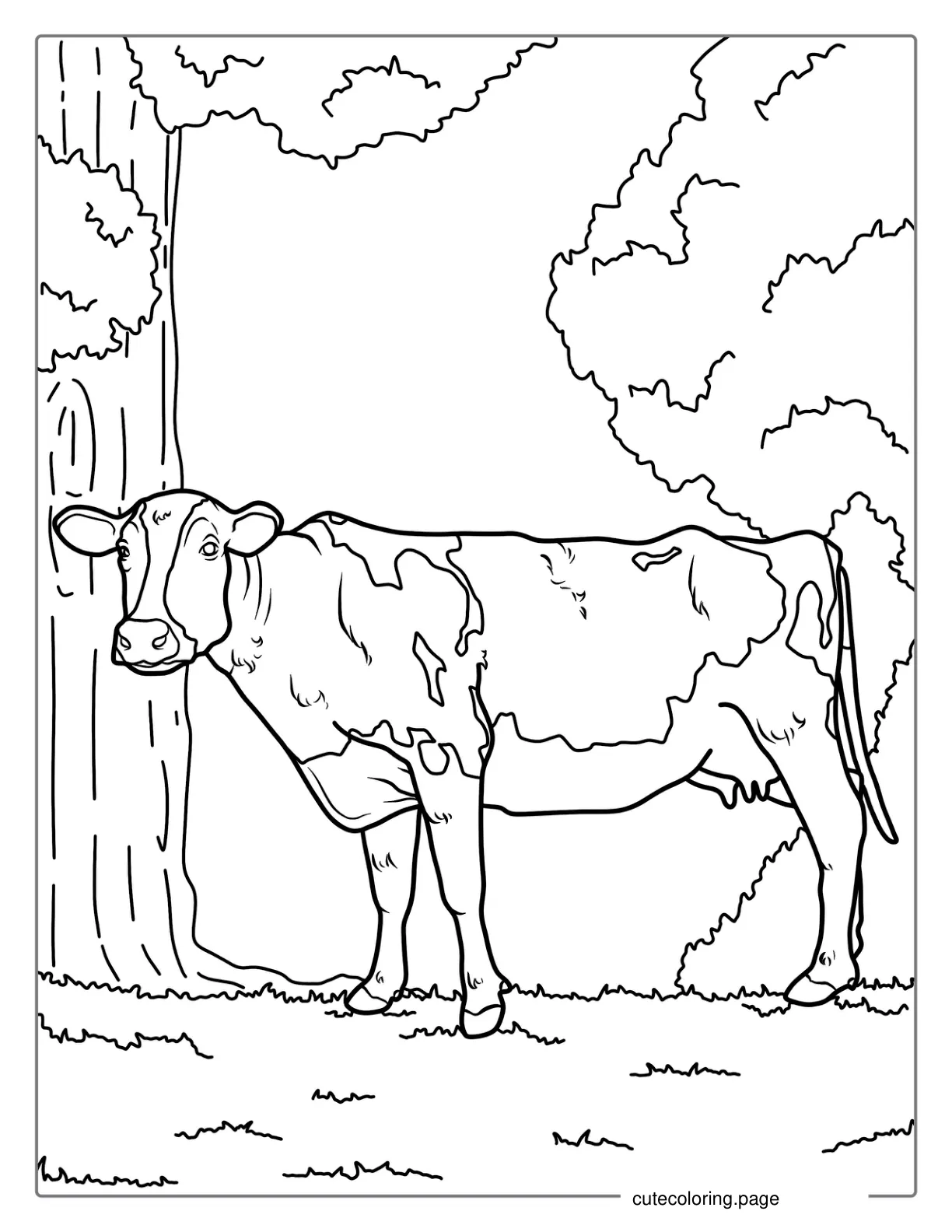 Dairy Cow Standing In Field  coloring page