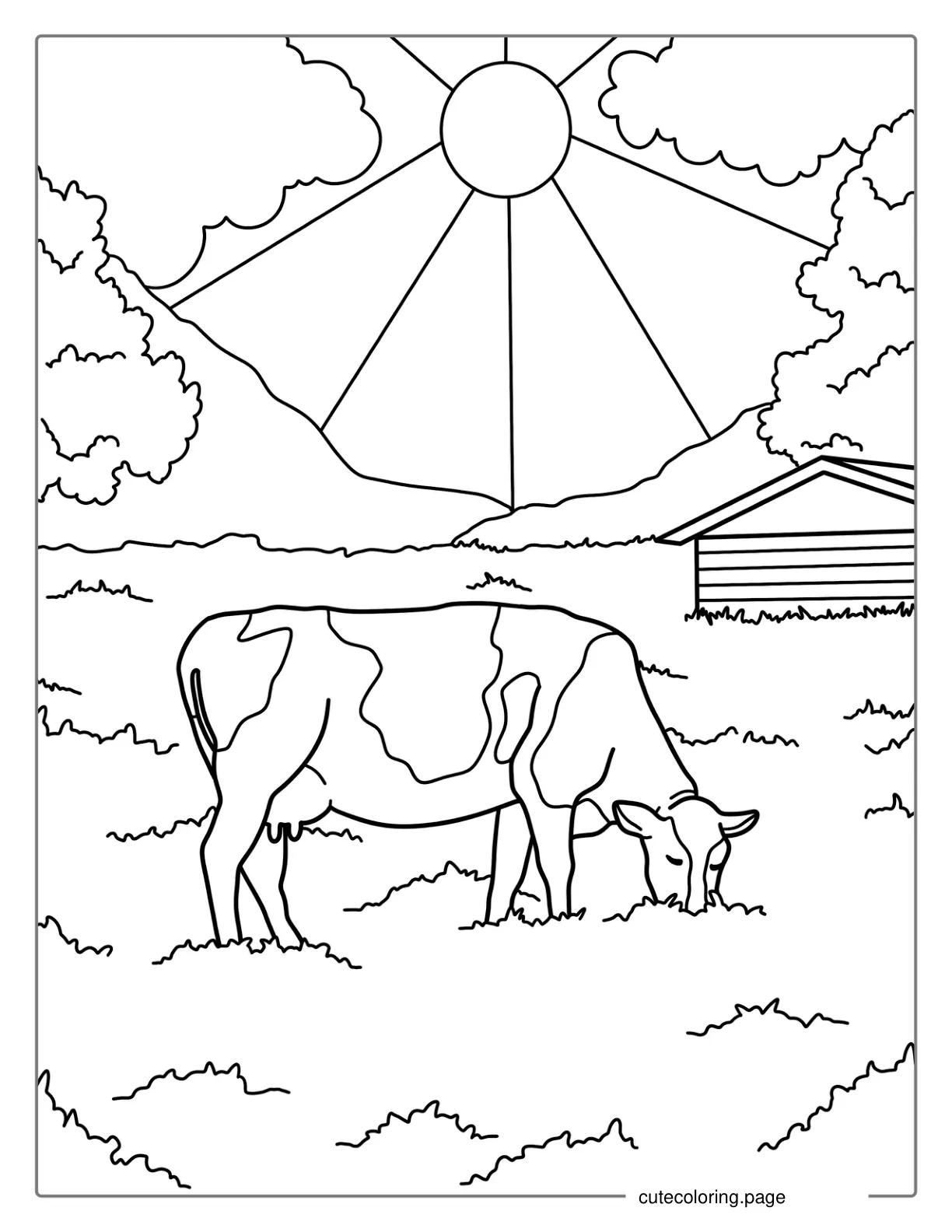 Daisy Cow Grazing In Field Coloring Page coloring page