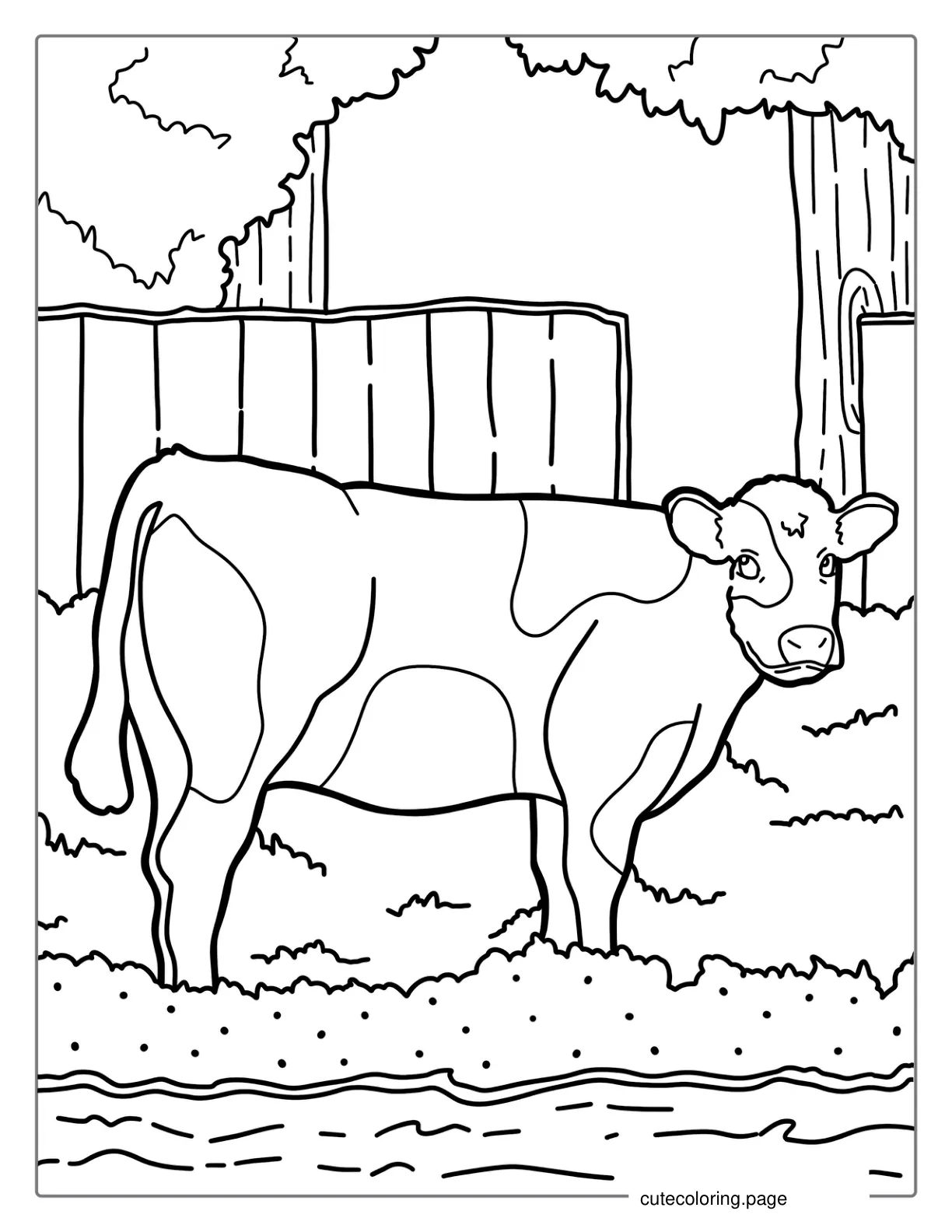 Daisy Cow Standing In Paddock Coloring Sheet coloring page