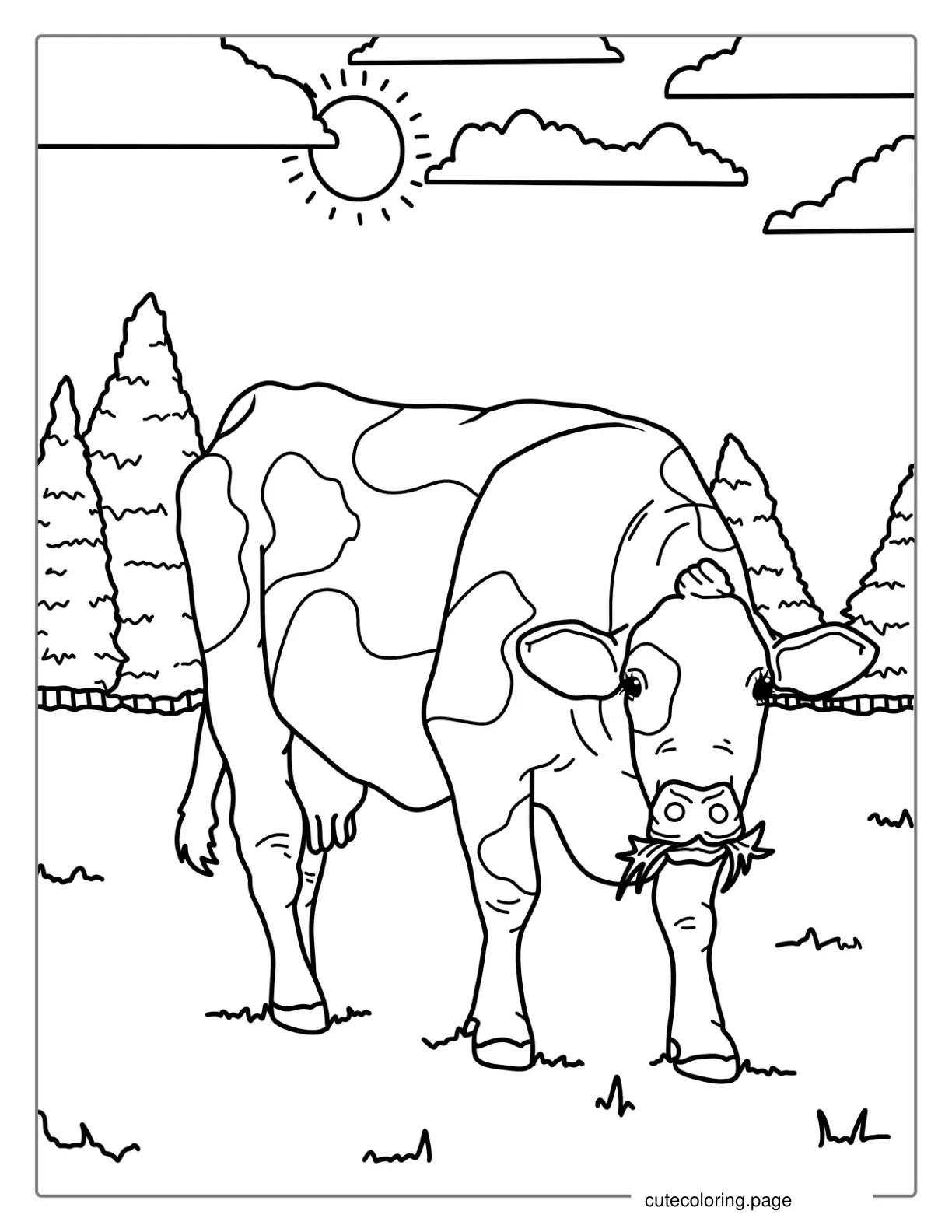 Holstein Cow Eating Grass On Farm Coloring Page coloring page