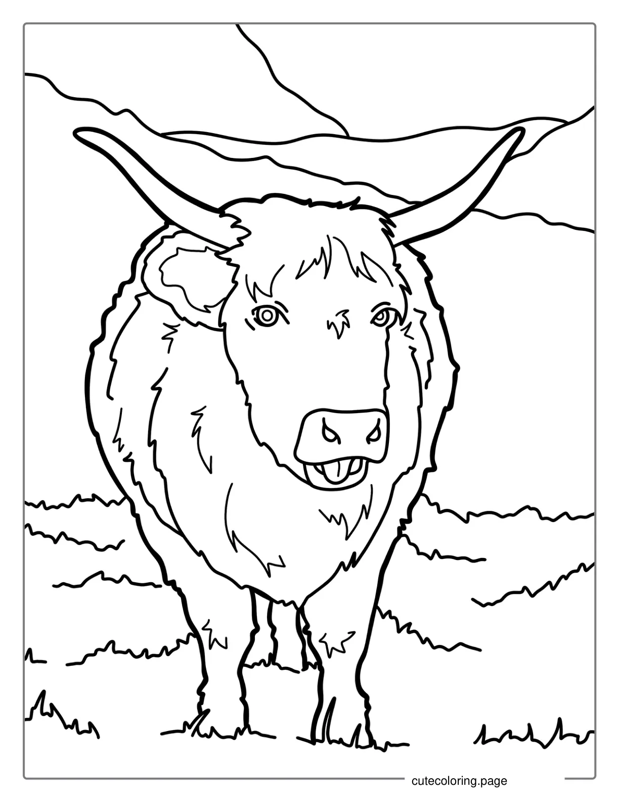 Shaggy Highland Bull Coloring Sheet coloring page