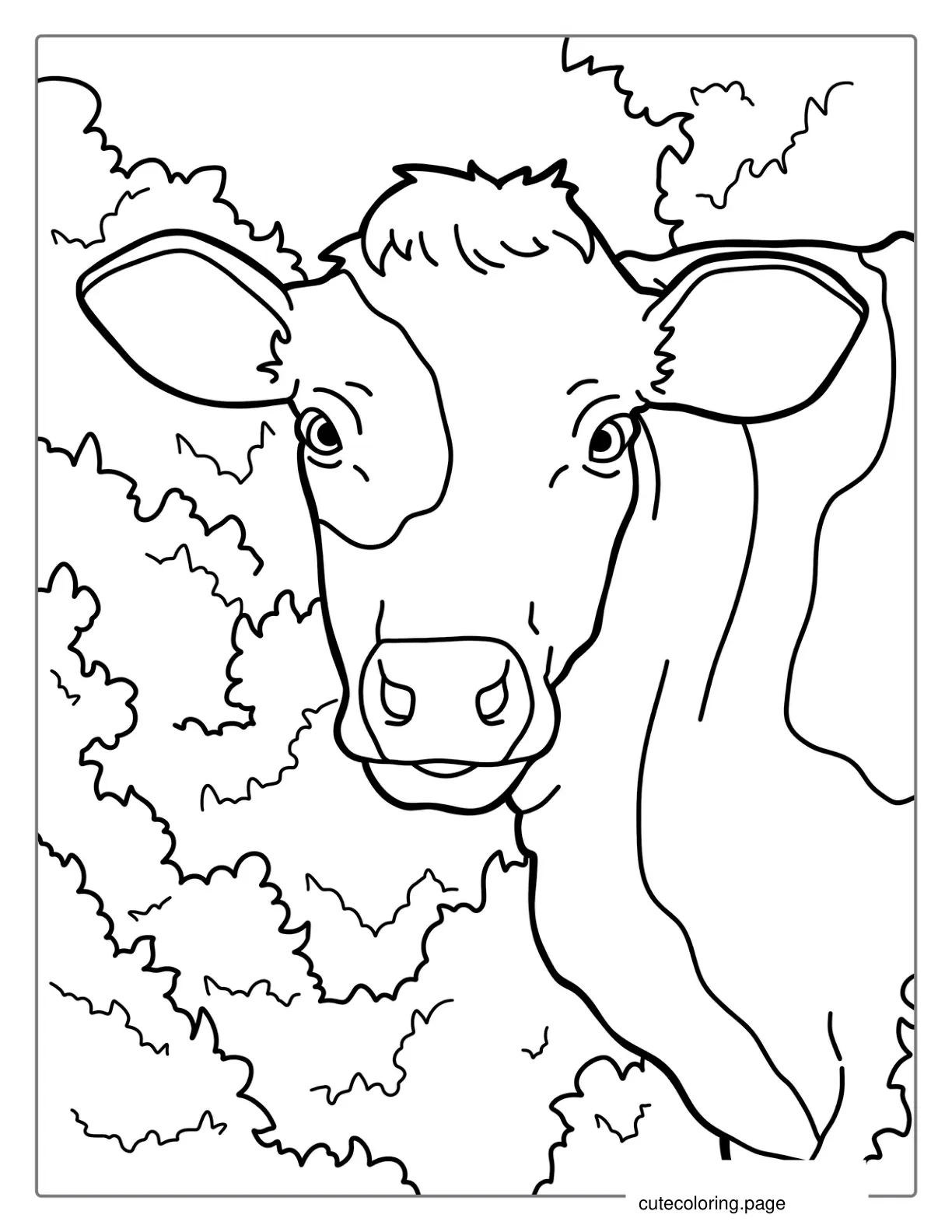 Smiling Cow For Coloring In coloring page