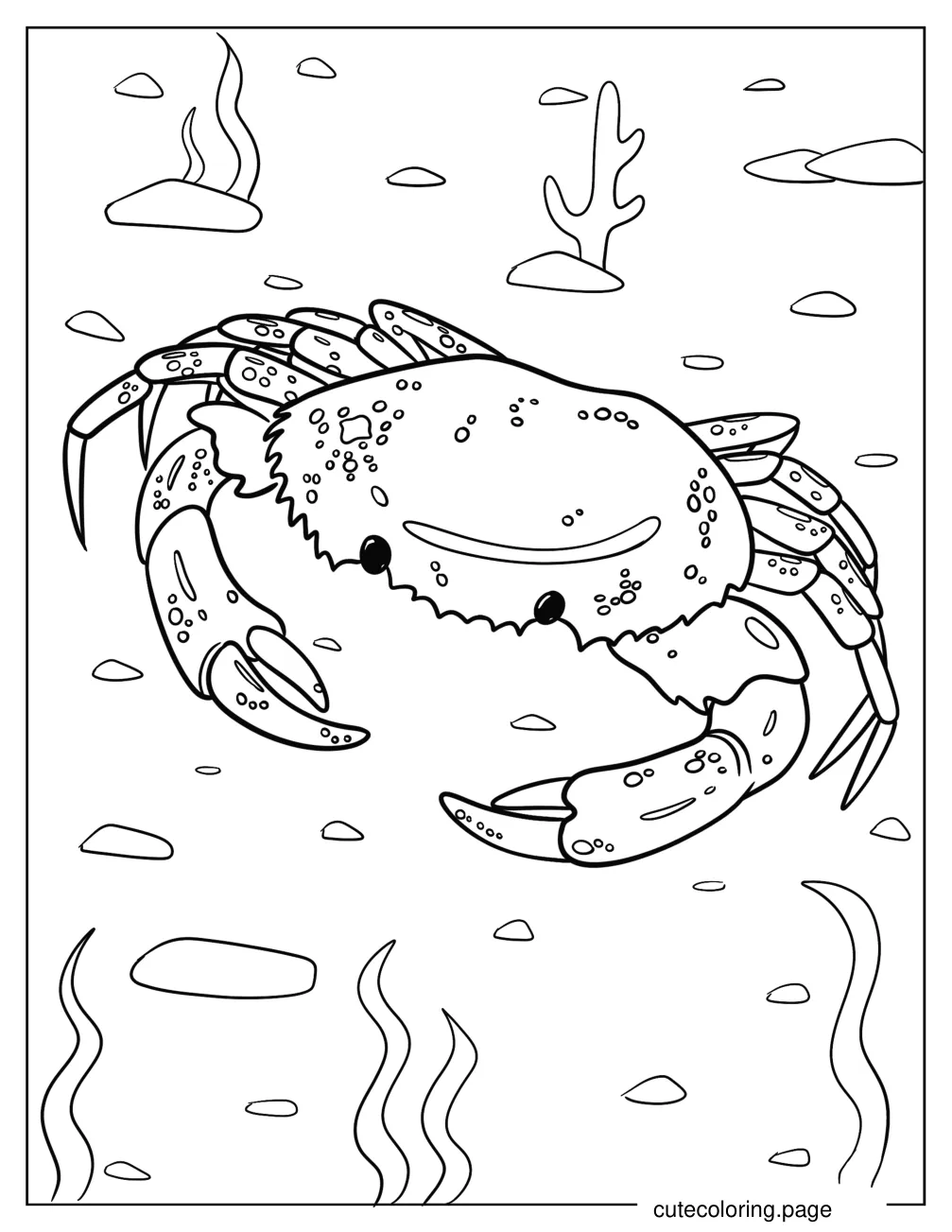 Crab With Detailed Shell Coloring Page coloring page