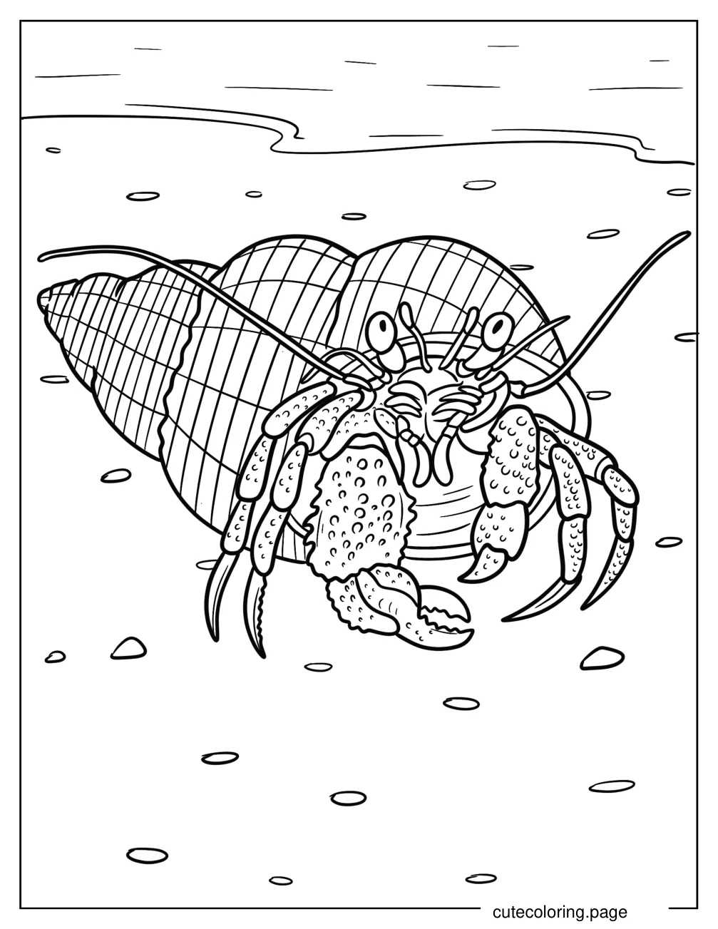 Detailed Hermit Crab In Shell Coloring Page coloring page