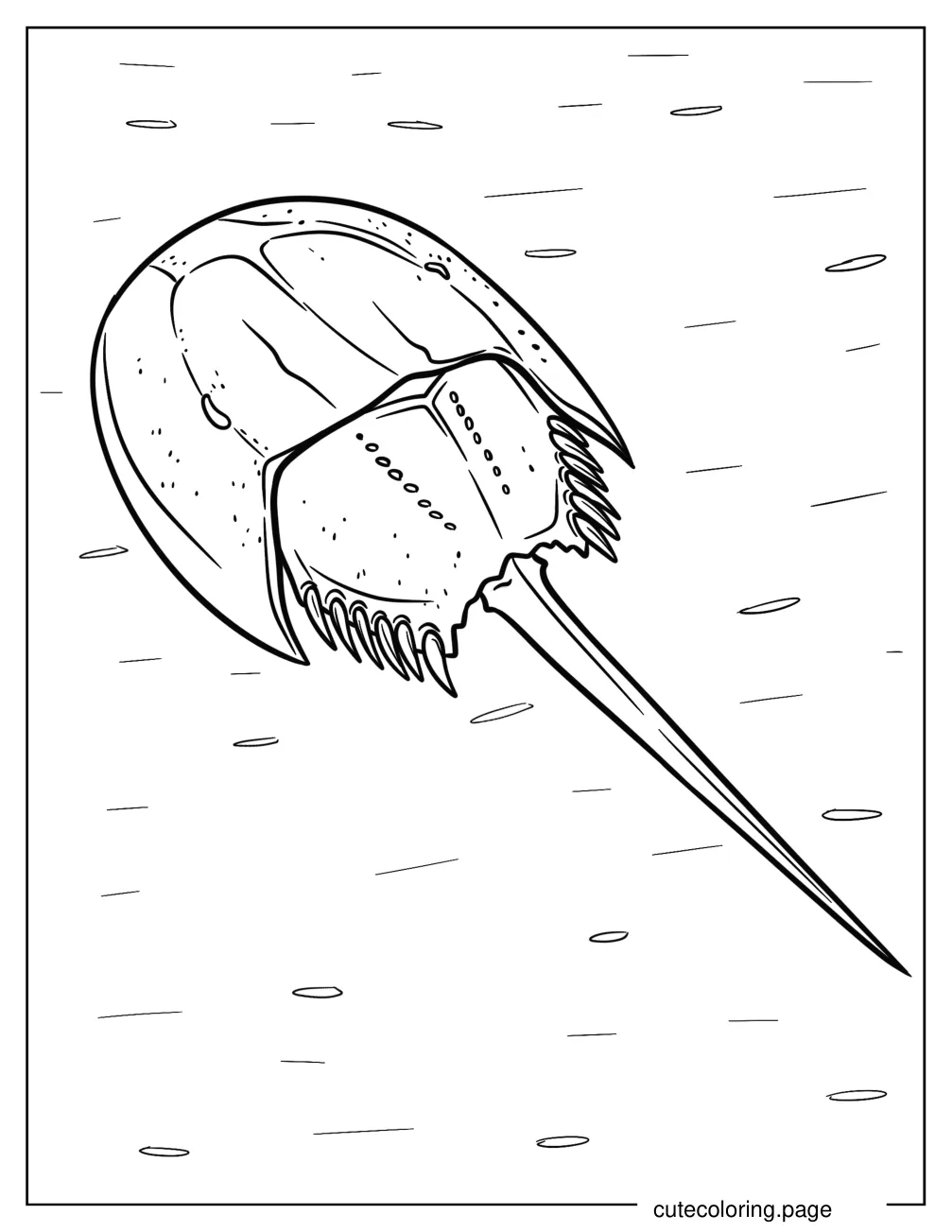 Horseshoe Crab coloring page