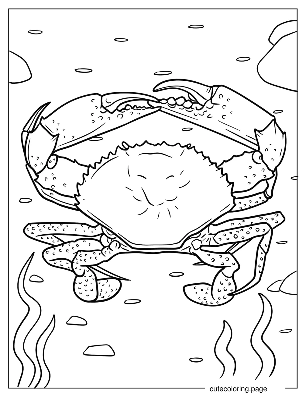 Male Mud Crab Coloring Page coloring page