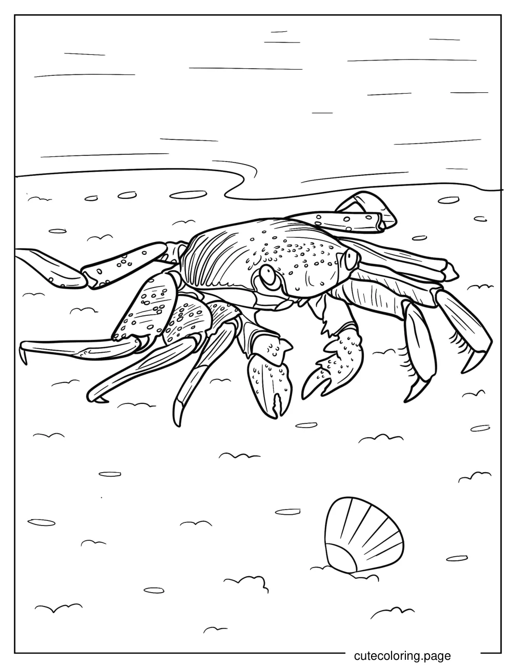 Sally Lightfoot Crab coloring page